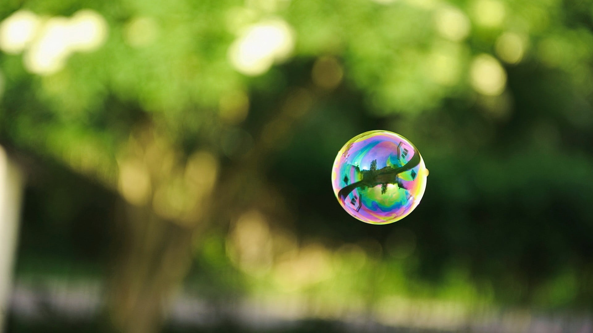multi colored, day, nature, shape, mid-air, geometric shape, selective focus, 1080P, close, outdoors, tree, no people, bubble, soap sud, fragility, focus on foreground, HD Wallpaper