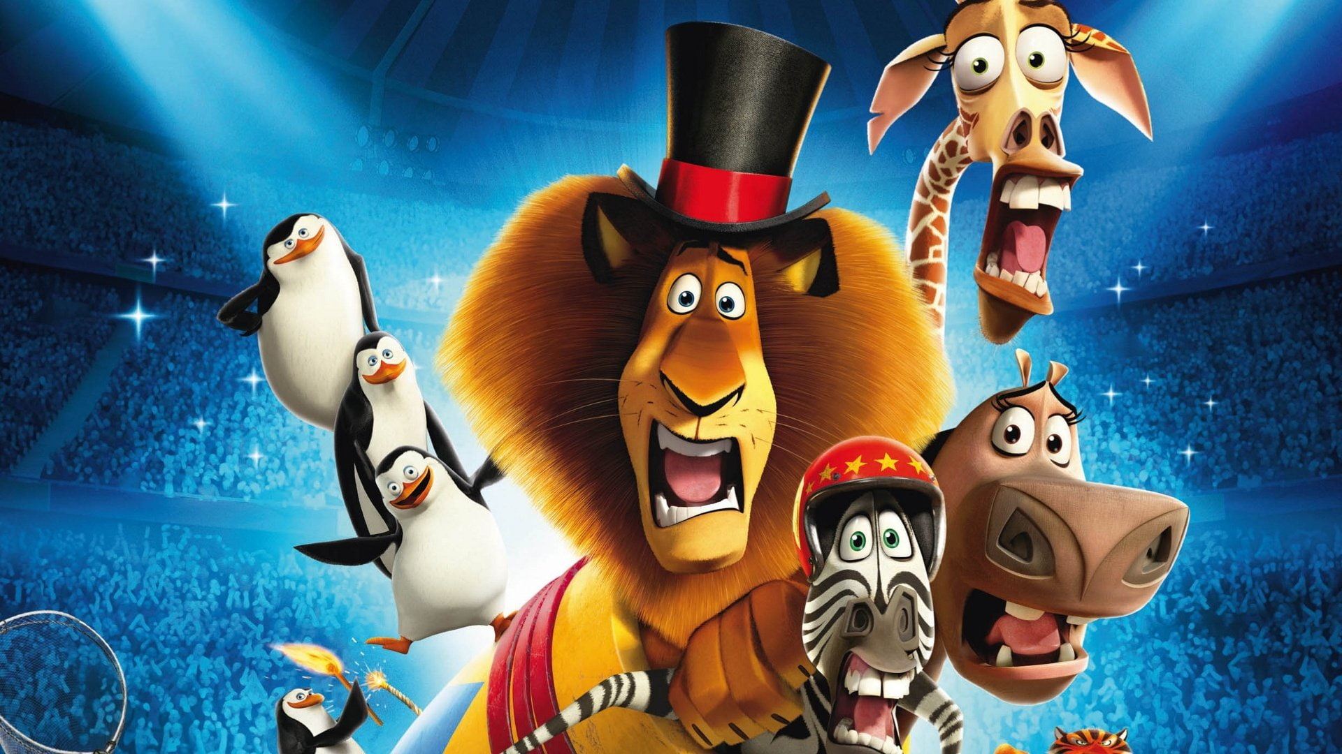 1080P, Madagascar 3: Europes Most Wanted, Movie, HD Wallpaper