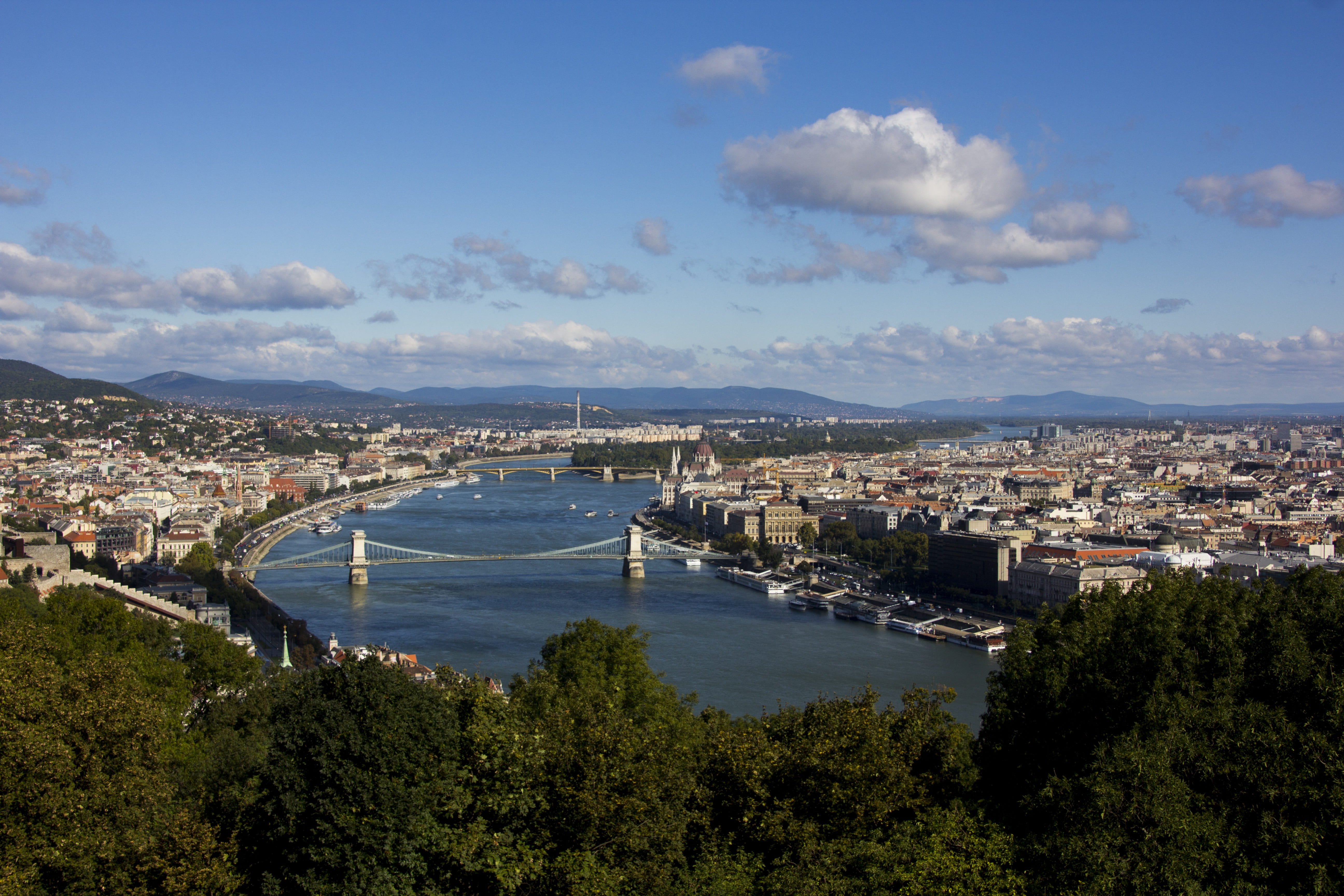 plant, water, cloud - sky, city, bridge - man made structure, tree, building, outdoors, cityscape, bridge, no people, connection, architecture, hungary, HD Wallpaper