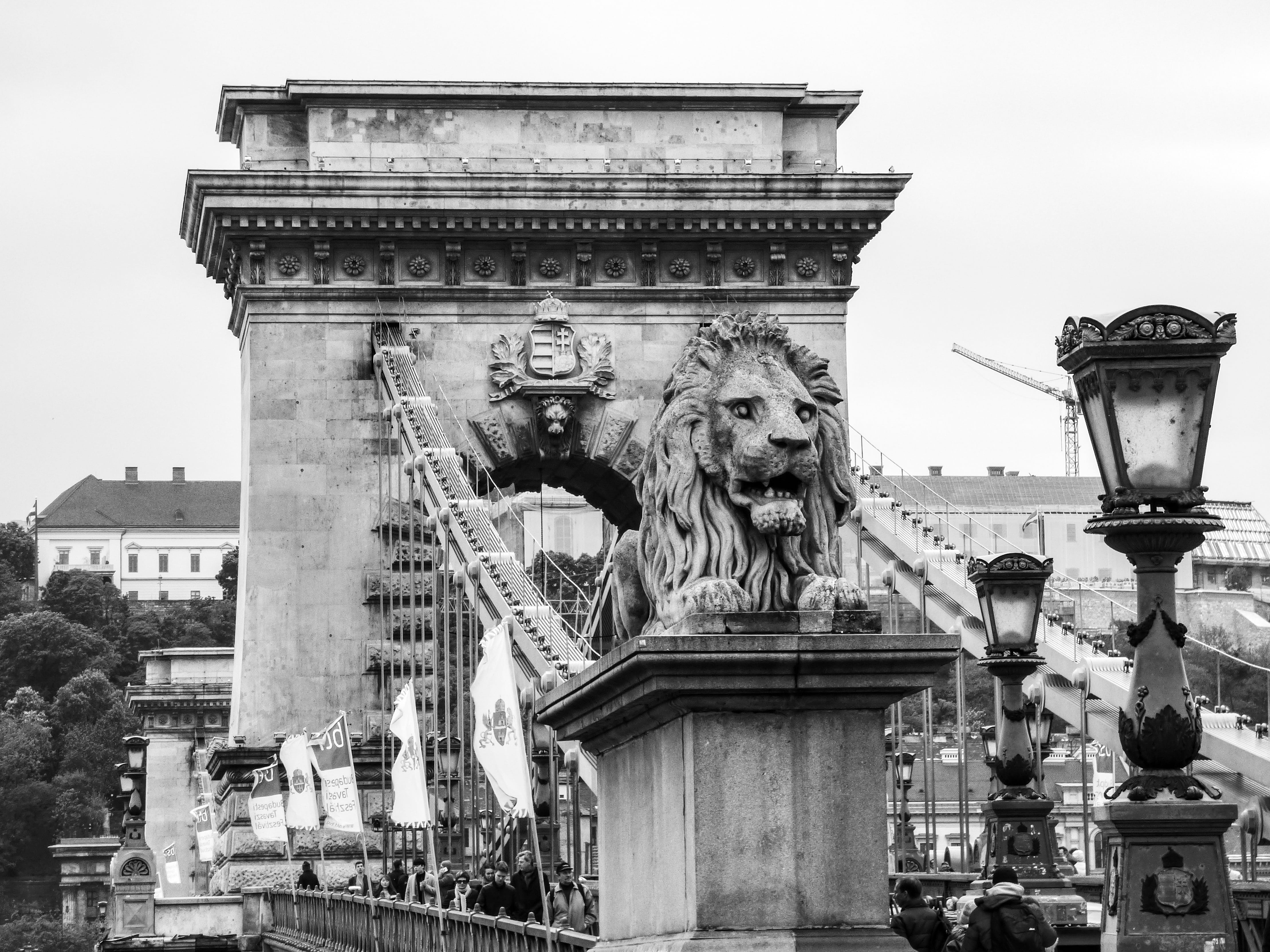 bridges, chain bridge, hungary, art and craft, travel destinations, building exterior, lion - feline, nature, sculpture, lamp, adult, city, architectural column, HD Wallpaper