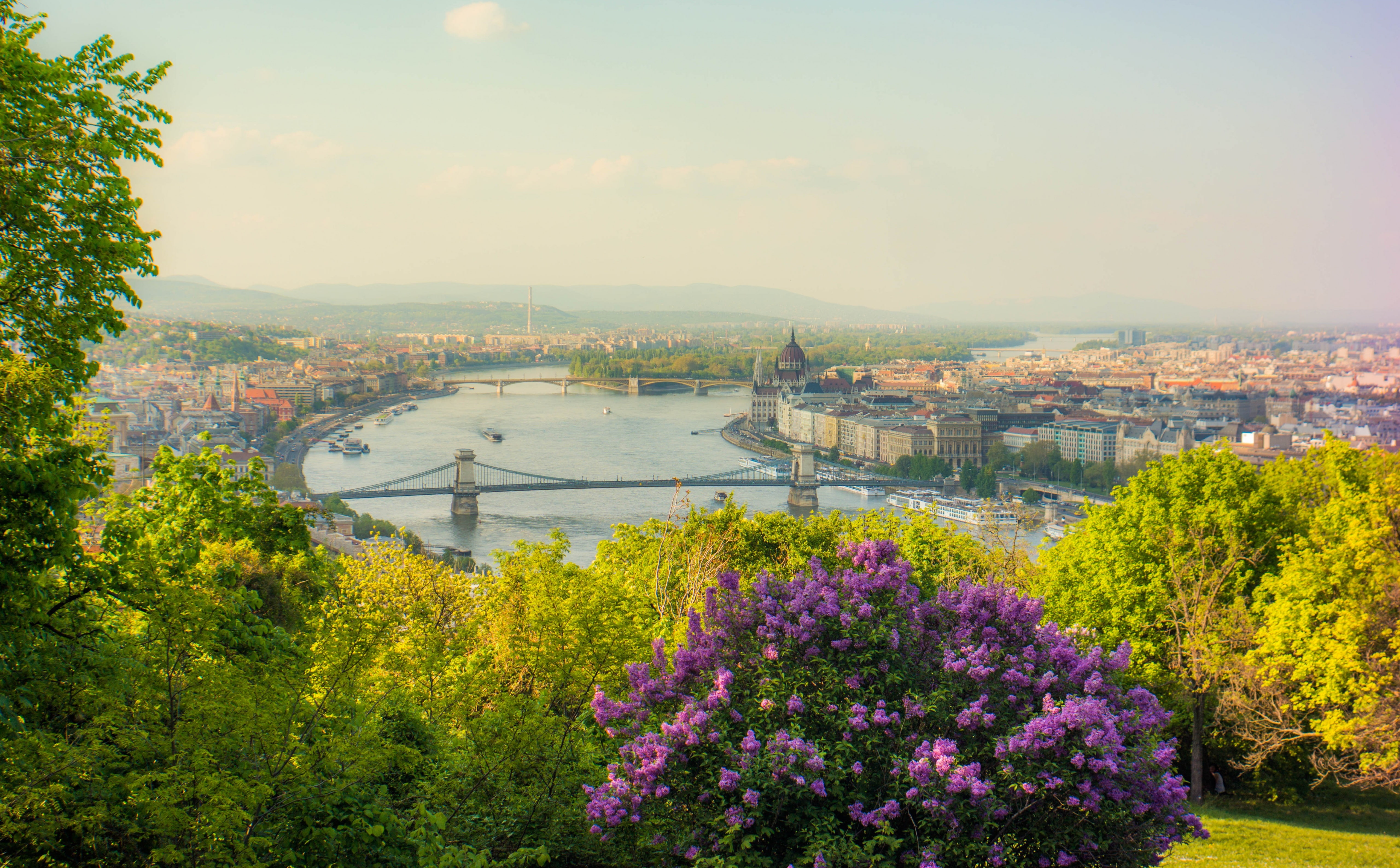 built structure, plant, bridge - man made structure, outdoors, flowering plant, building exterior, city, day, hd, landscape, purple, tree, bridge, HD Wallpaper