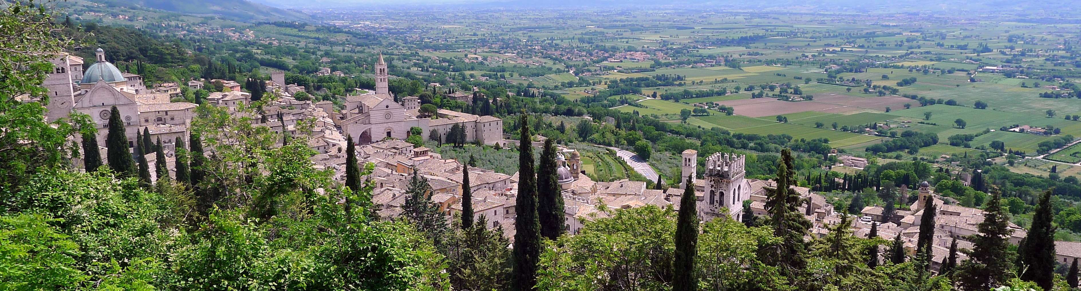 rural scene, green color, city, san francesco, architecture, beauty in nature, no people, nature, tree, saint francis, travel destinations, building, assisi, HD Wallpaper