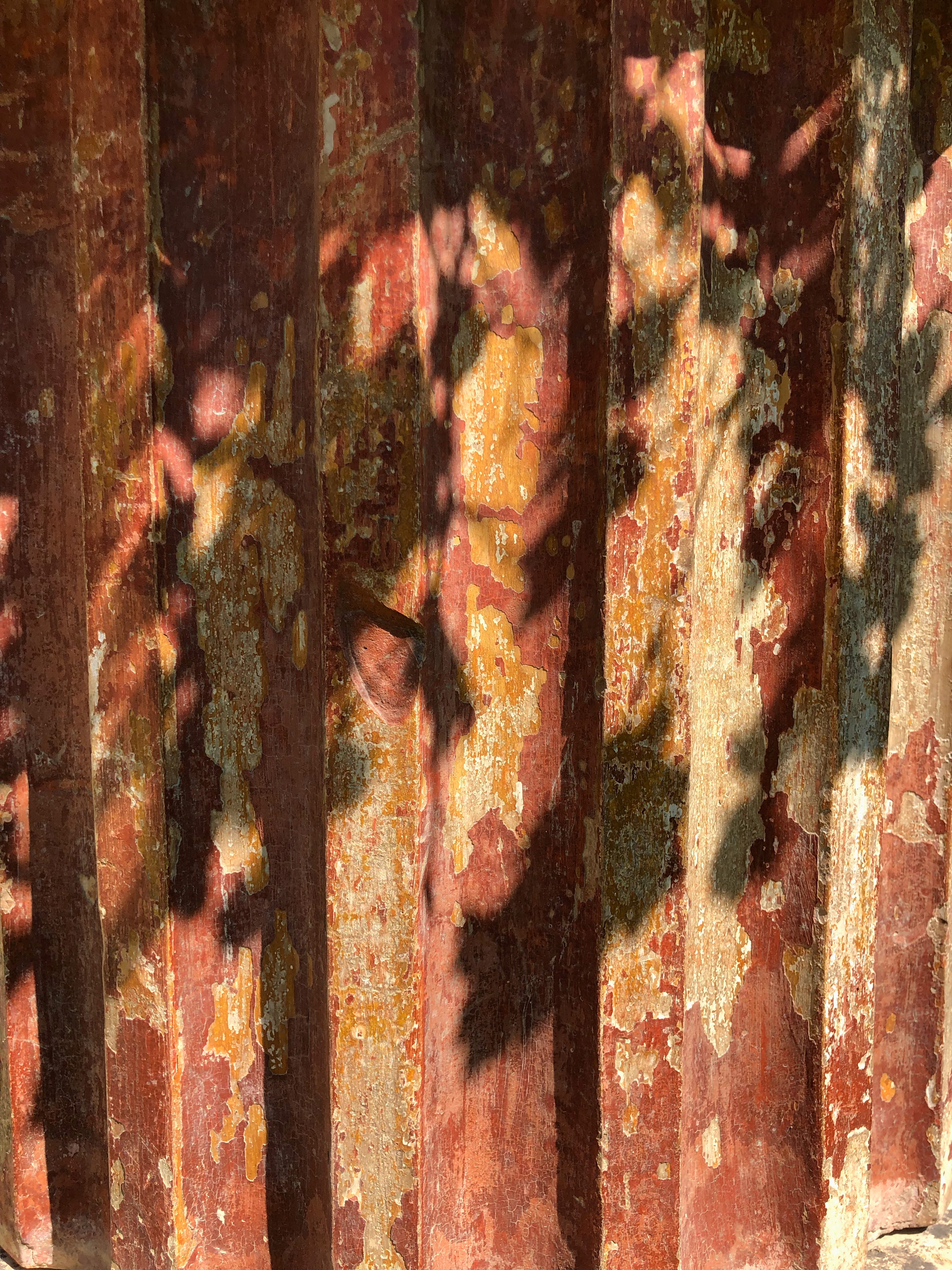 tree trunk, weathered, wall - building feature, stain, villa donini, day, art, trunk, painting, outdoors, red, sunlight, full frame, no people, shadow, Phone HD Wallpaper