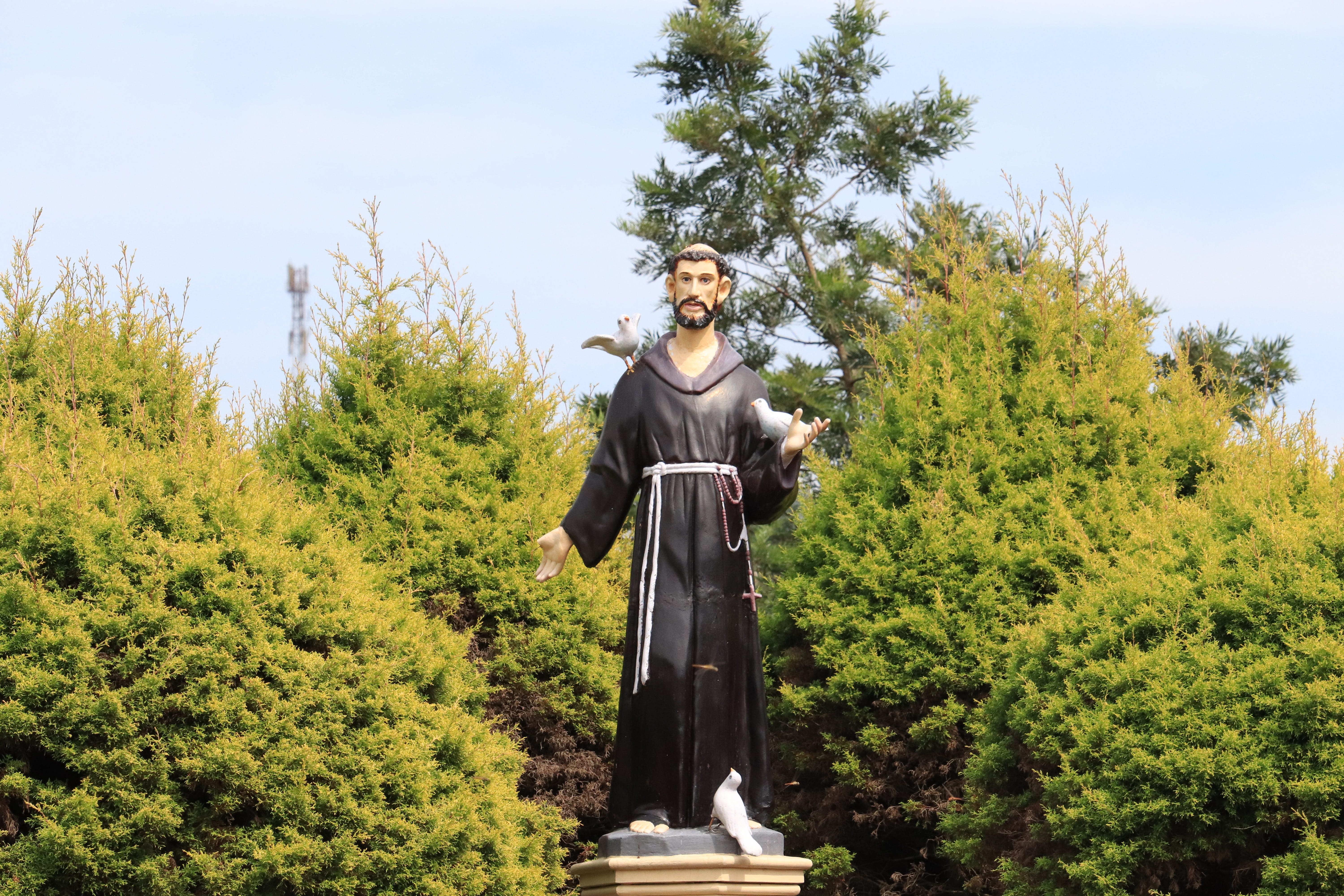 day, land, young adult, saint, nature, saint francis assisi, standing, growth, representation, real people, human representation, sky, tree, male likeness, HD Wallpaper