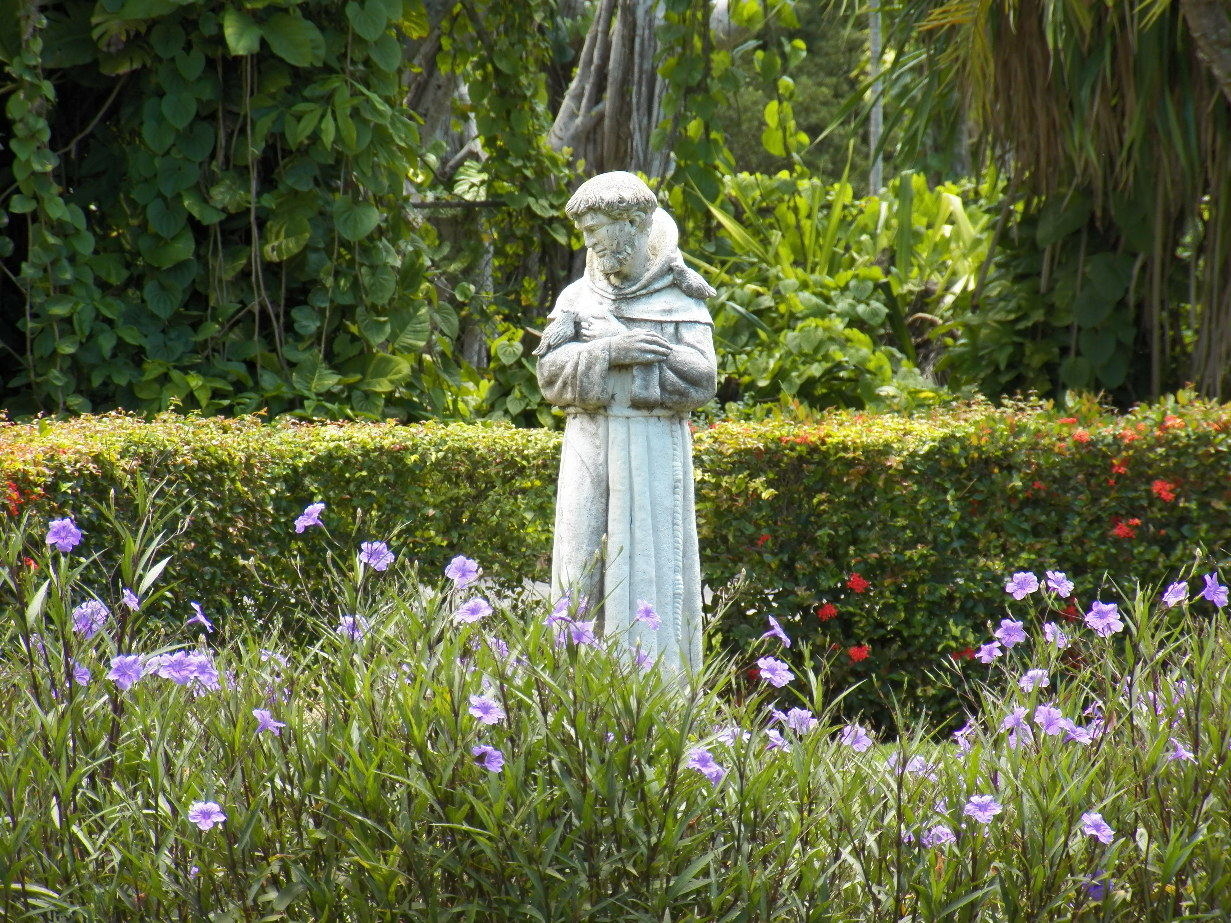 male likeness, female likeness, tree, statue, st francis statue, middle, no people, beauty in nature, representation, st francis, 4K, flower, flowering plant, HD Wallpaper