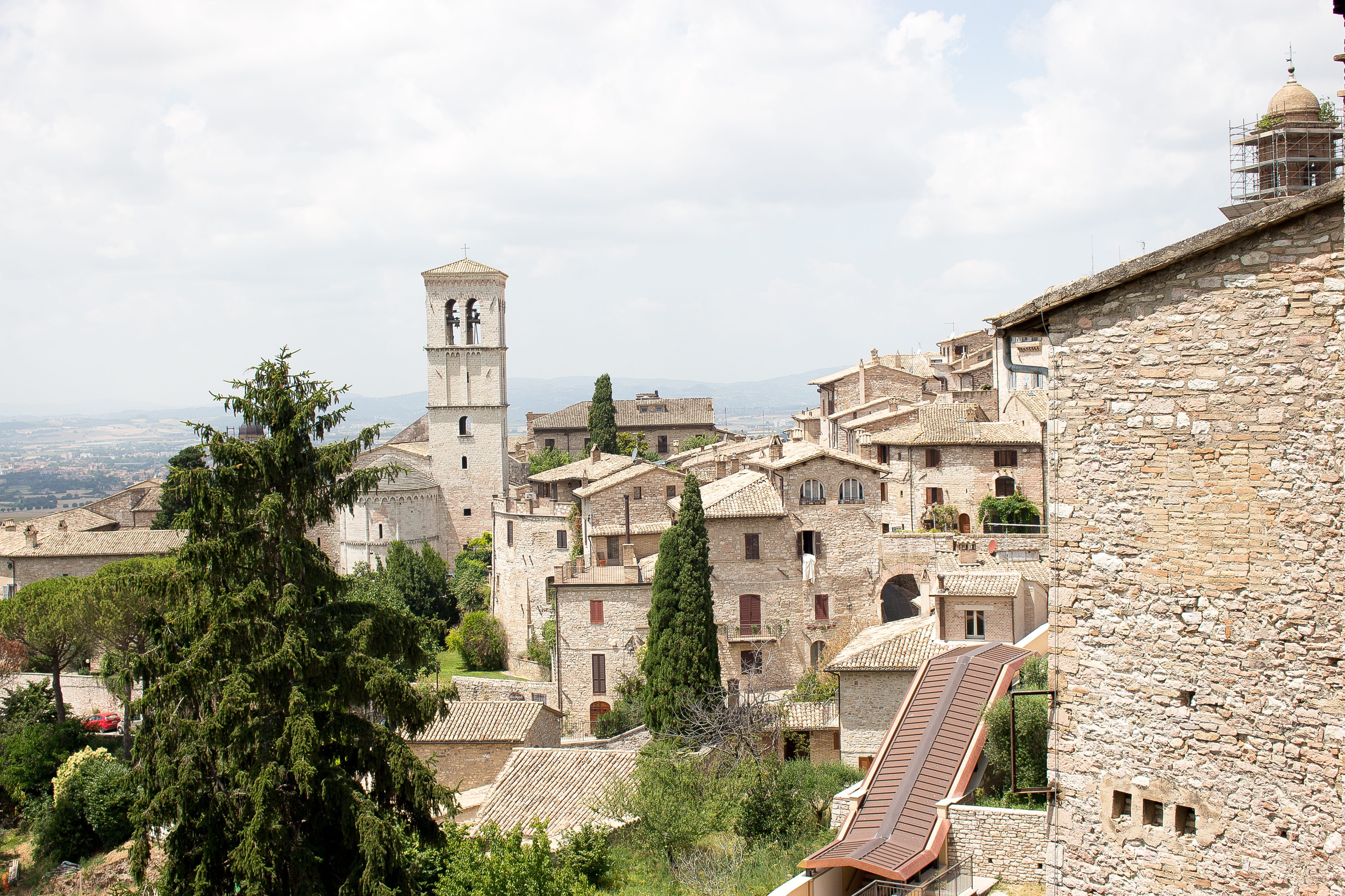 architecture, place of worship, old, tree, built structure, building, assisi, day, history, no people, residential district, historical, cloud - sky, plant, HD Wallpaper