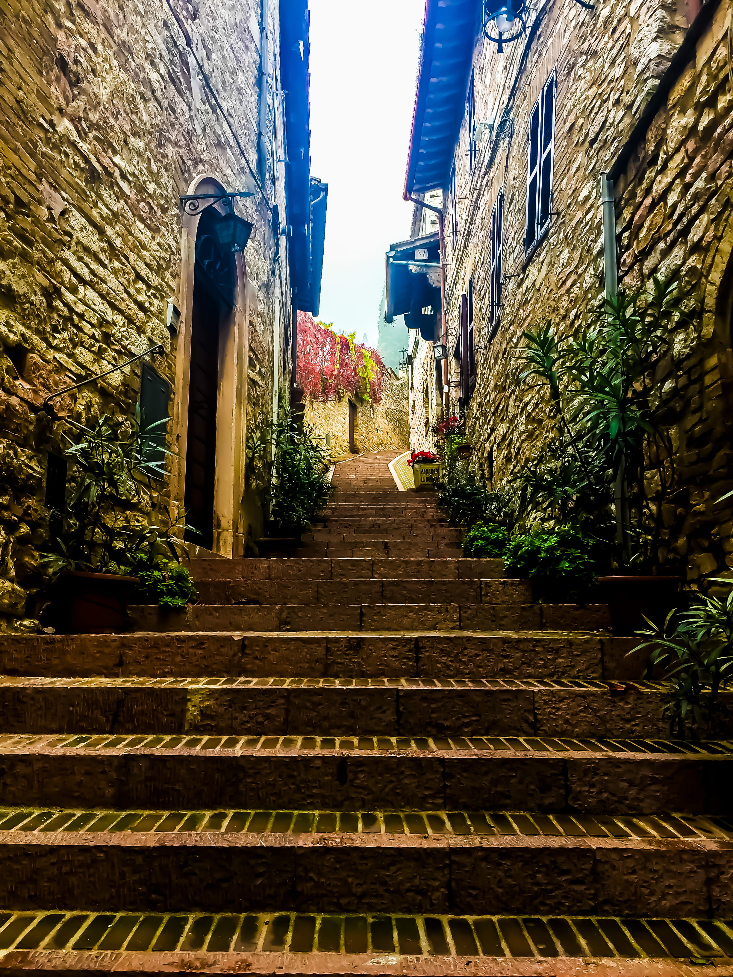 2K, architecture, potted plant, italy, outdoors, nature, side street, no people, alley, plant, quiet road, wall - building feature, built structure, low angle view, Phone HD Wallpaper