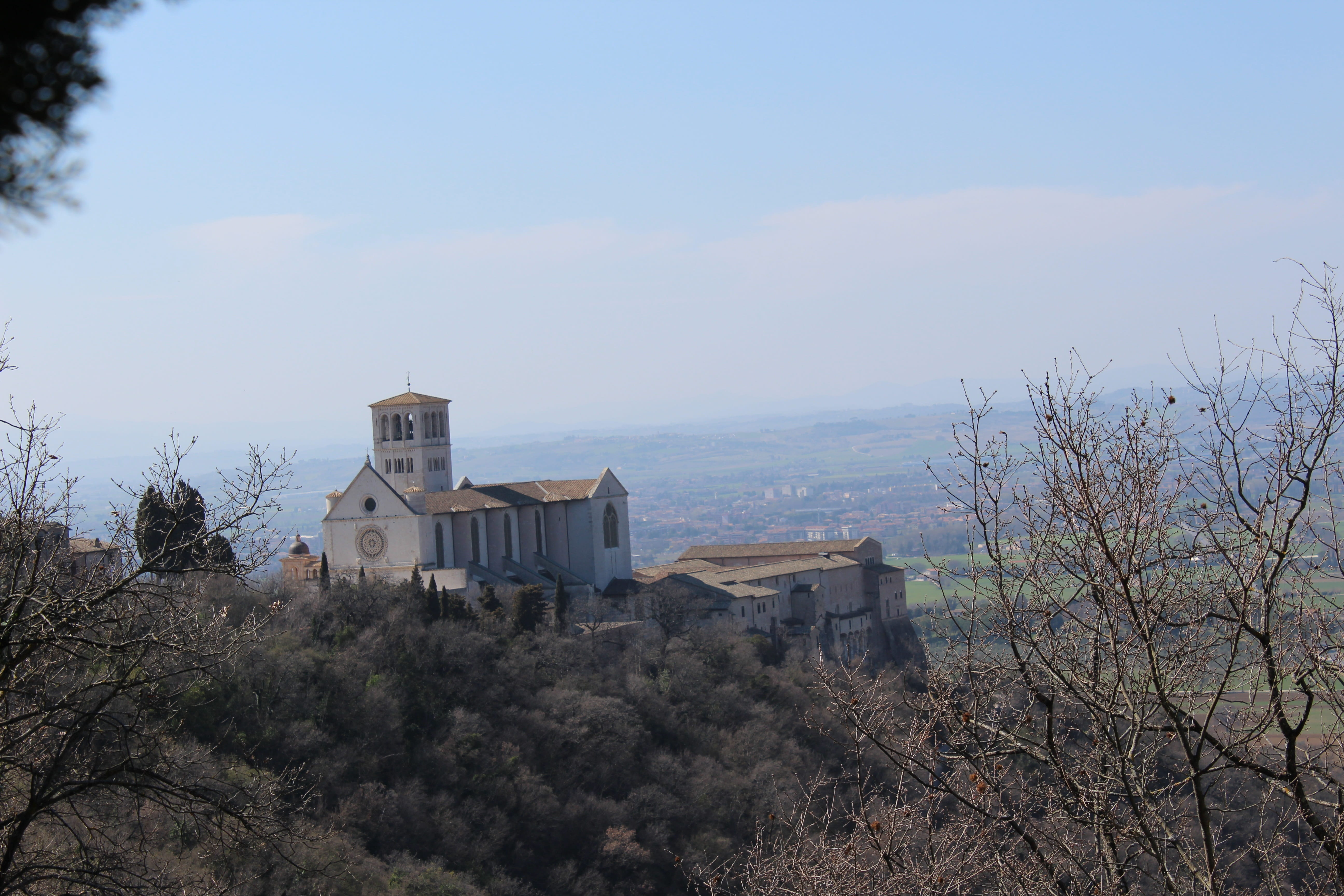 assisi, 5K, tree, building, outdoors, growth, basilica, built structure, bare tree, branch, water, sky, day, cloud - sky, building exterior, history, architecture, HD Wallpaper