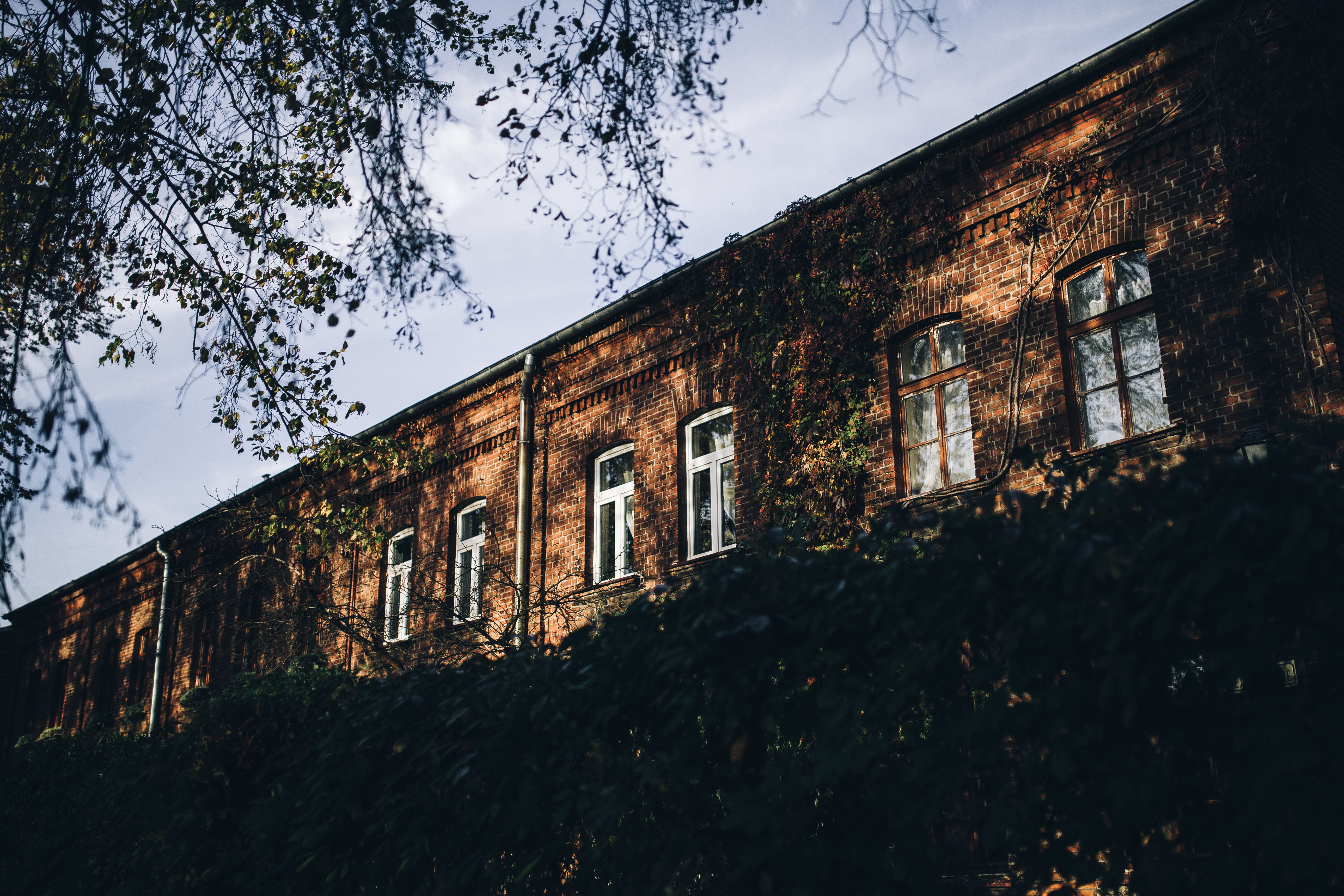 ruined, Poland, Old, tree, day, building, nature, Lodz, built Structure, abandoned, building Exterior, house, 5K, obsolete, weathered, growth, outdoor, HD Wallpaper