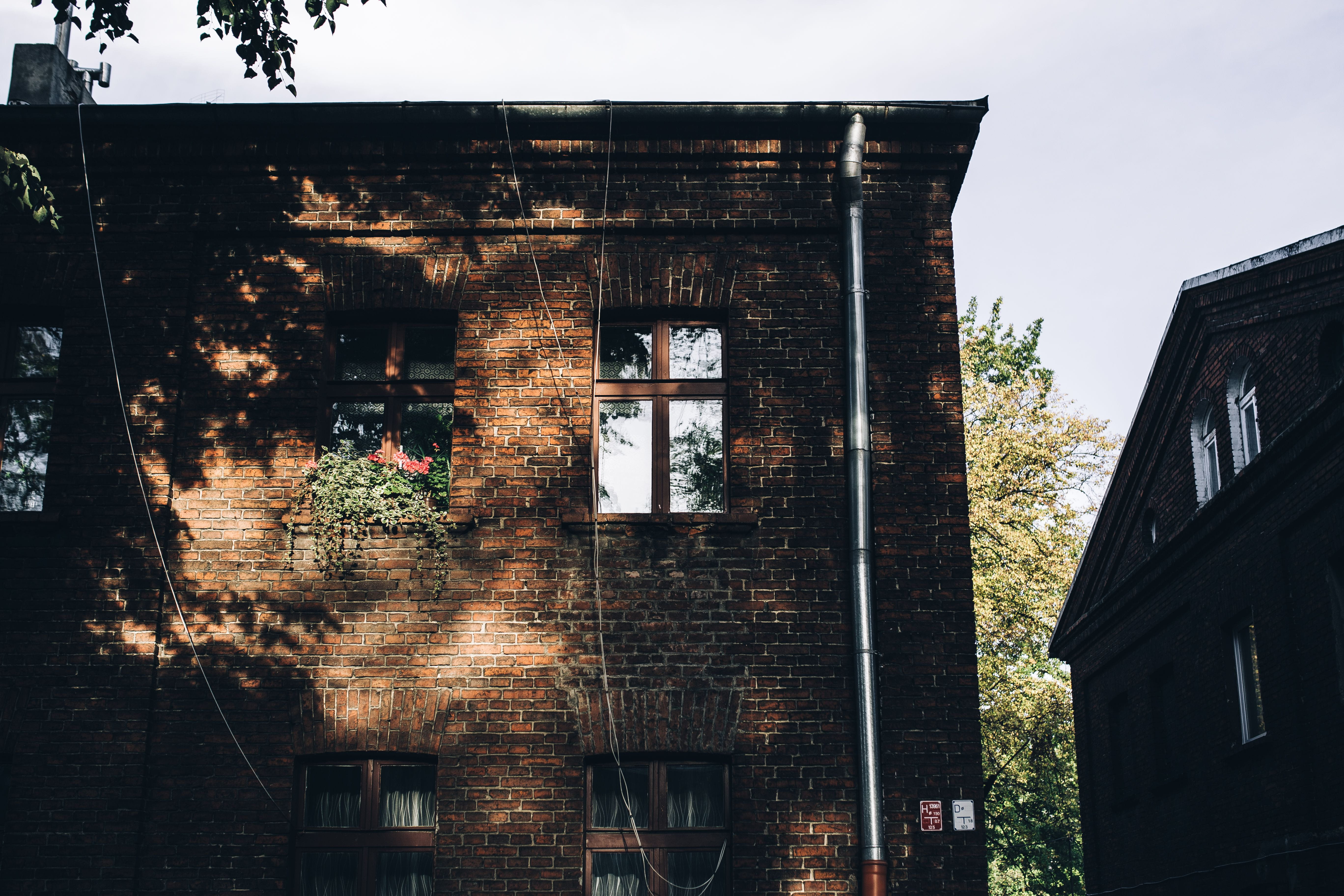 town, Lodz, brick, sky, outdoor, day, outdoors, tree, window, damaged, building, house, ruined, built Structure, nature, buildings, city, abandoned, religion, HD Wallpaper