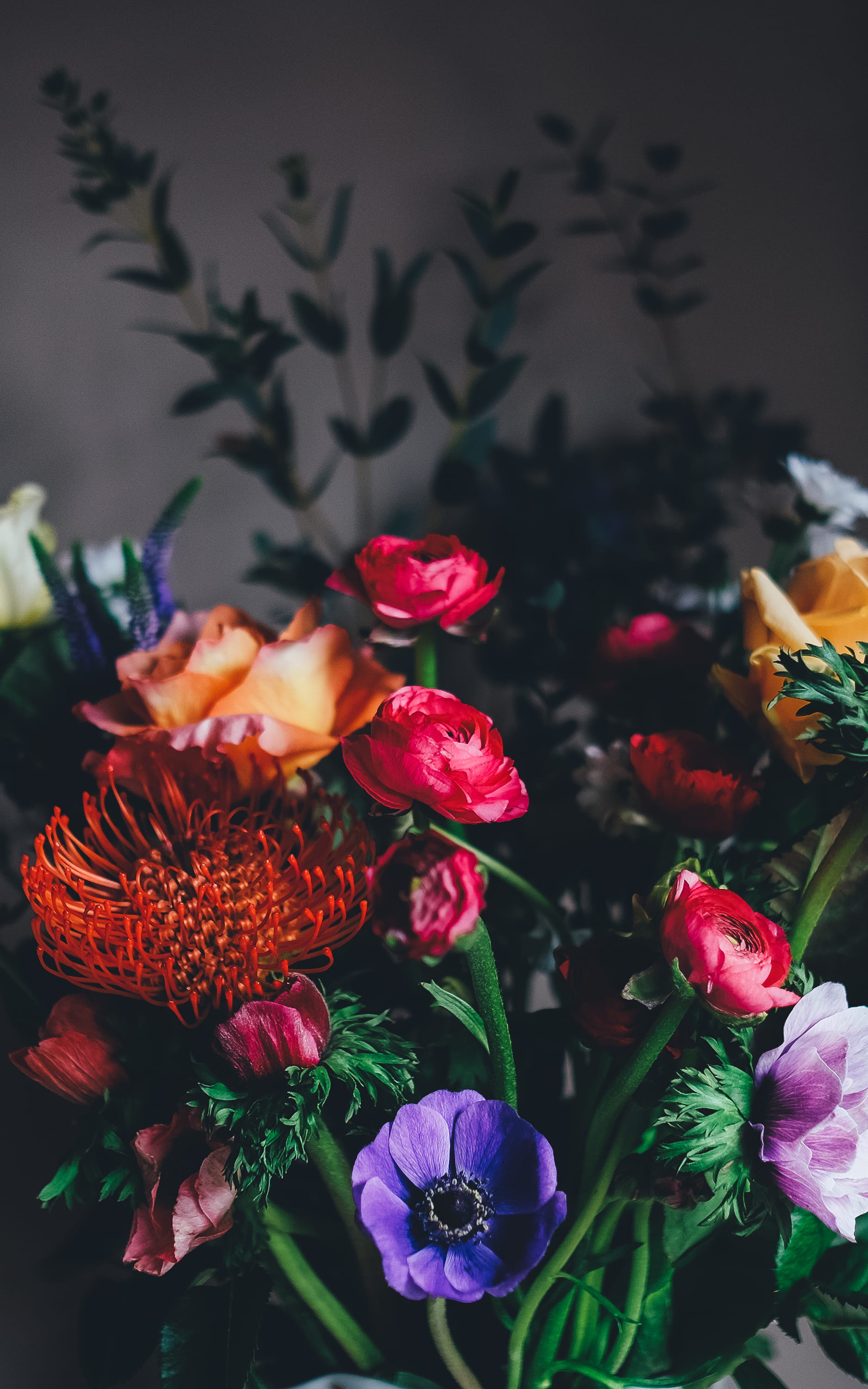 fragility, outdoors, wildflower, focus on foreground, flowers, rose, bouquet, inside, beauty in nature, plant, nature, assorted, purple, vulnerability, Phone HD Wallpaper