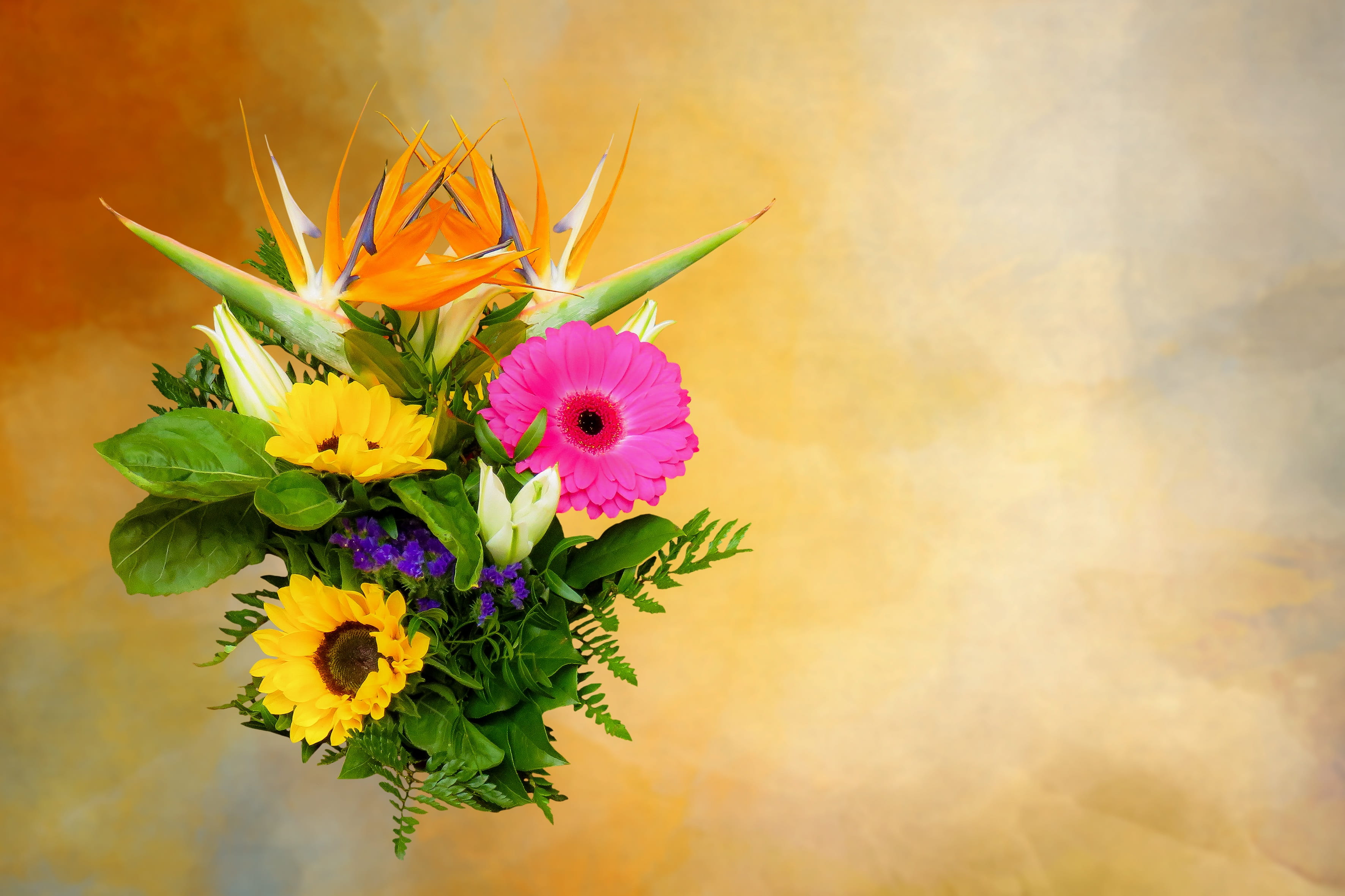 bird of paradise flower, wedding bouquet, petal, mothers day, floral greeting, indoors, greeting, close-up, love, freshness, emotions, purple, blossom, HD Wallpaper