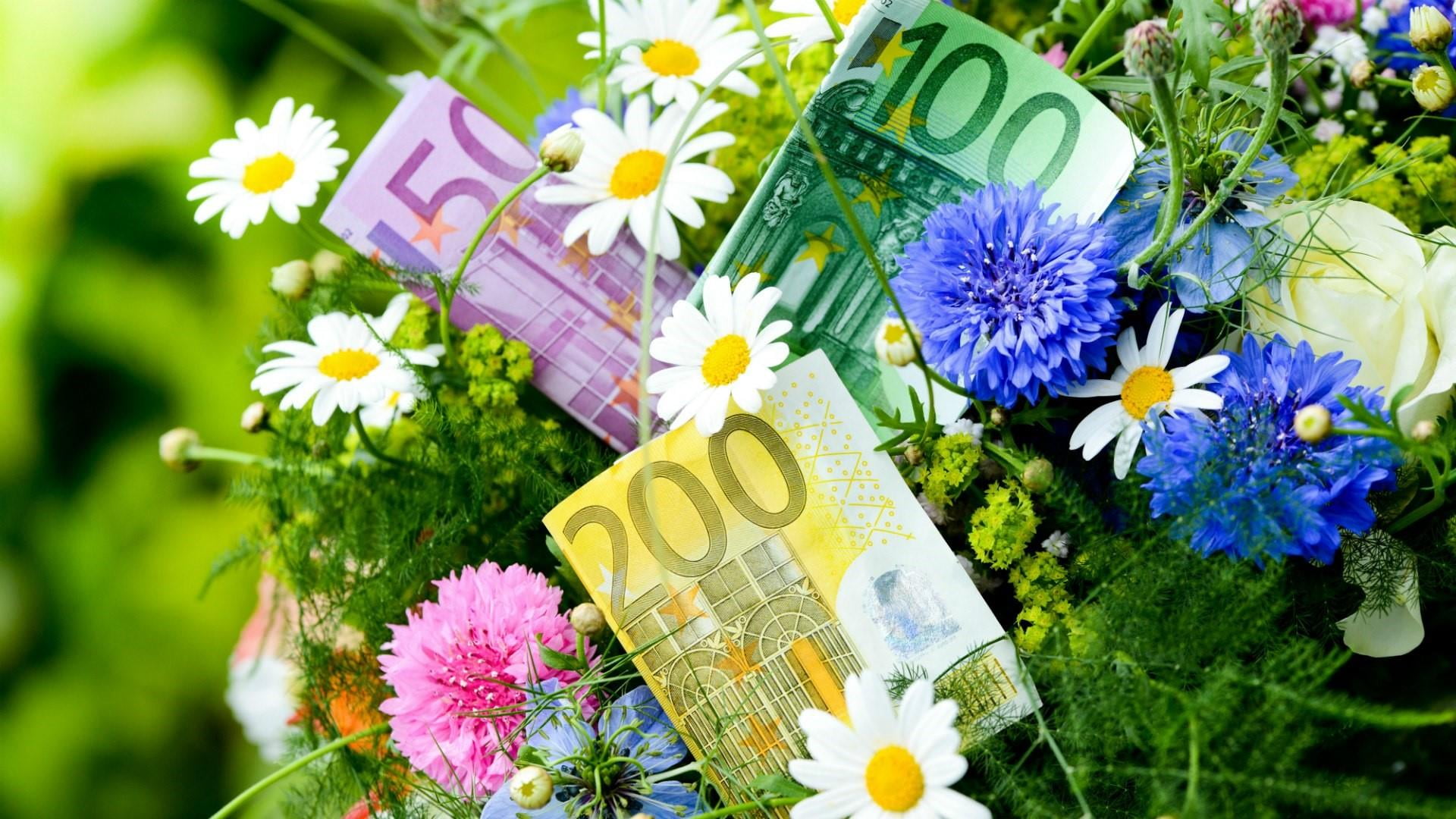 close-up, purple, flower, flower bouquet, no people, flower head, cash, money, nature, flowering plant, bouquet, fragility, inflorescence, beauty in nature, HD Wallpaper