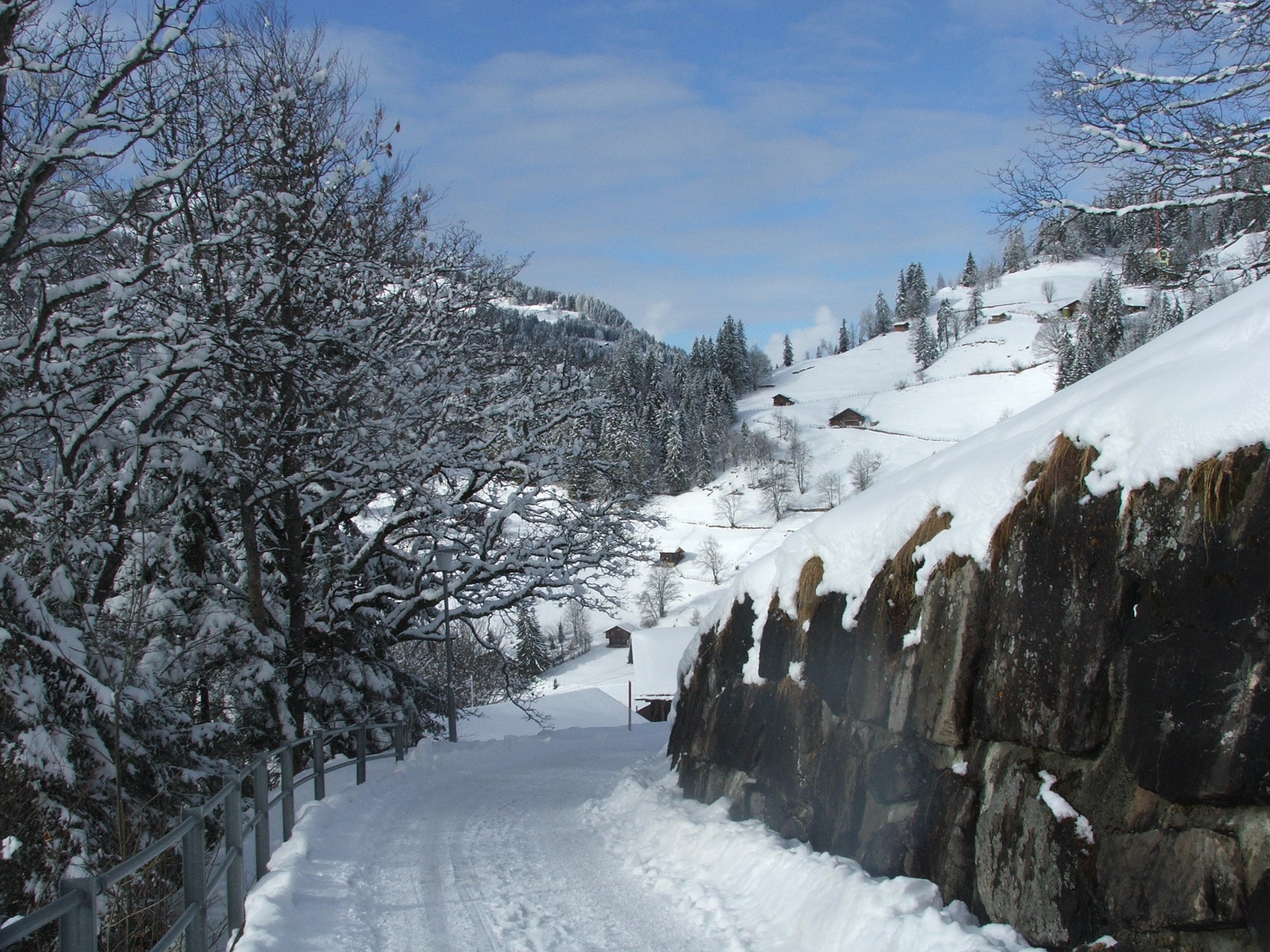 transportation, alps, mountain, road, tranquil scene, white color, scenics - nature, snow, covering, beauty in nature, plant, day, nature, tranquility, HD Wallpaper