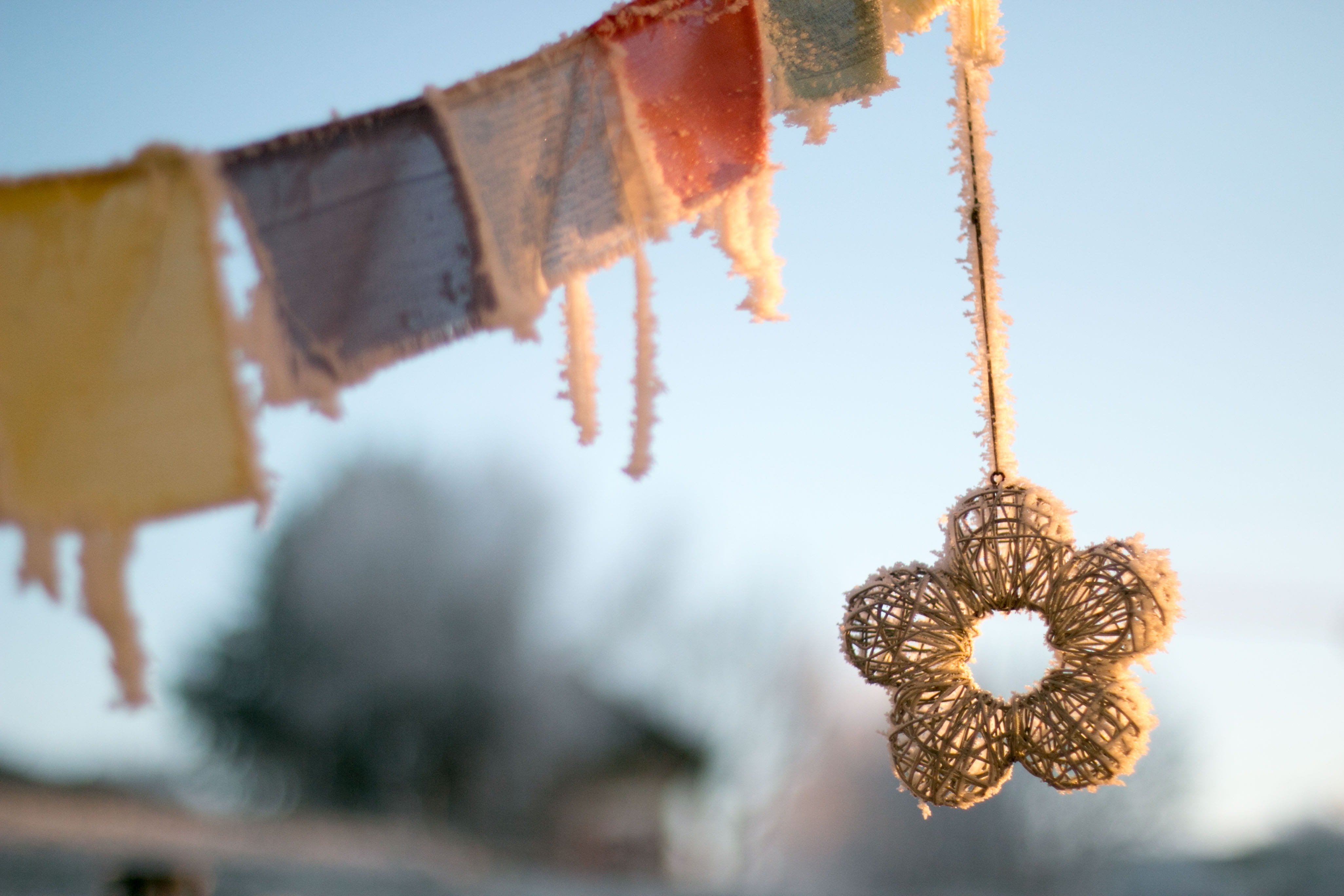 business, close-up, hanging, retail, tibetan prayer flags, art and craft, decoration, nature, frozen, tree, switzerland, macro, jewelry, luxury, creativity, HD Wallpaper