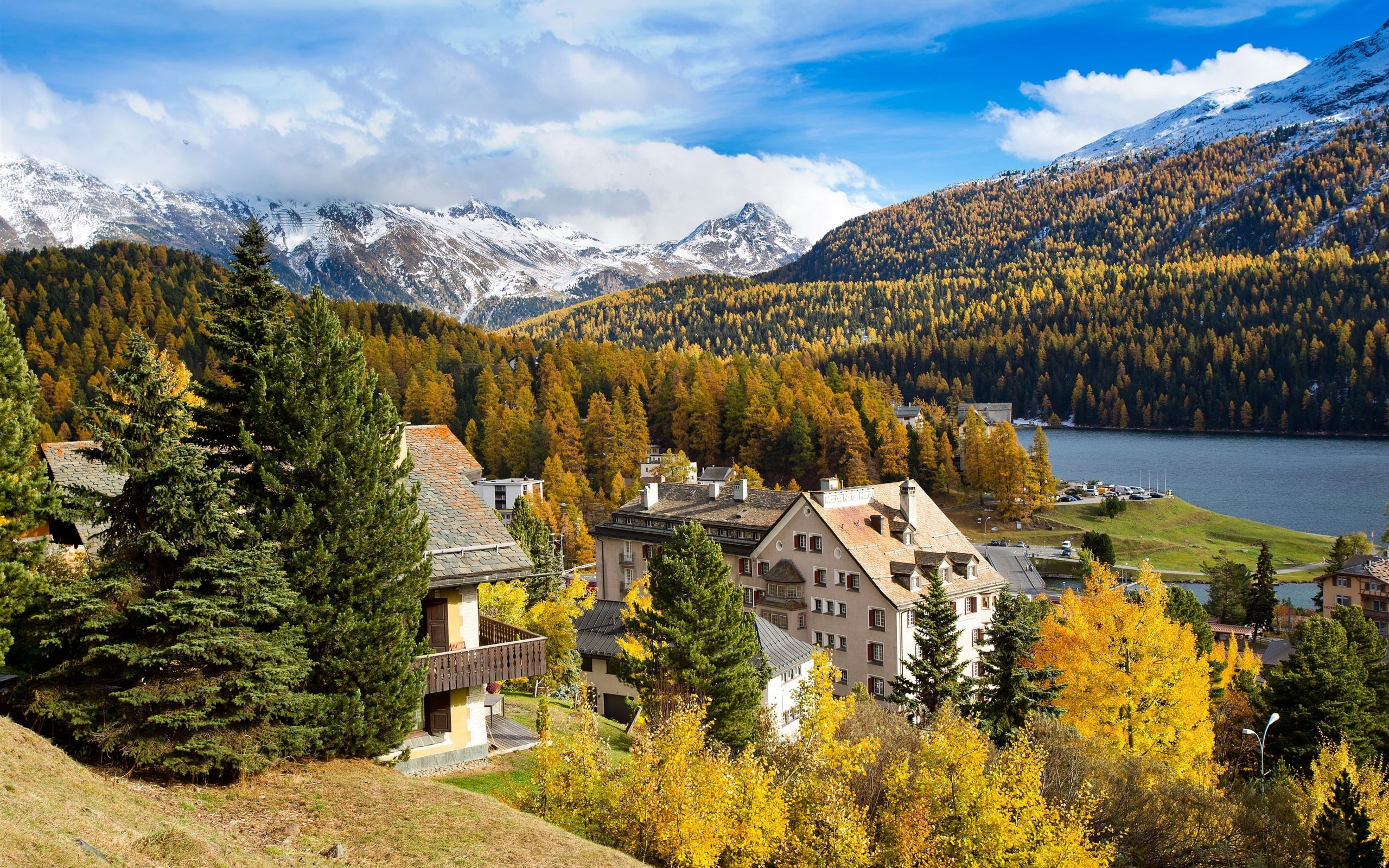 Trees, Houses, Switzerland, River, Moritz, Mountain, 2K, st, HD Wallpaper