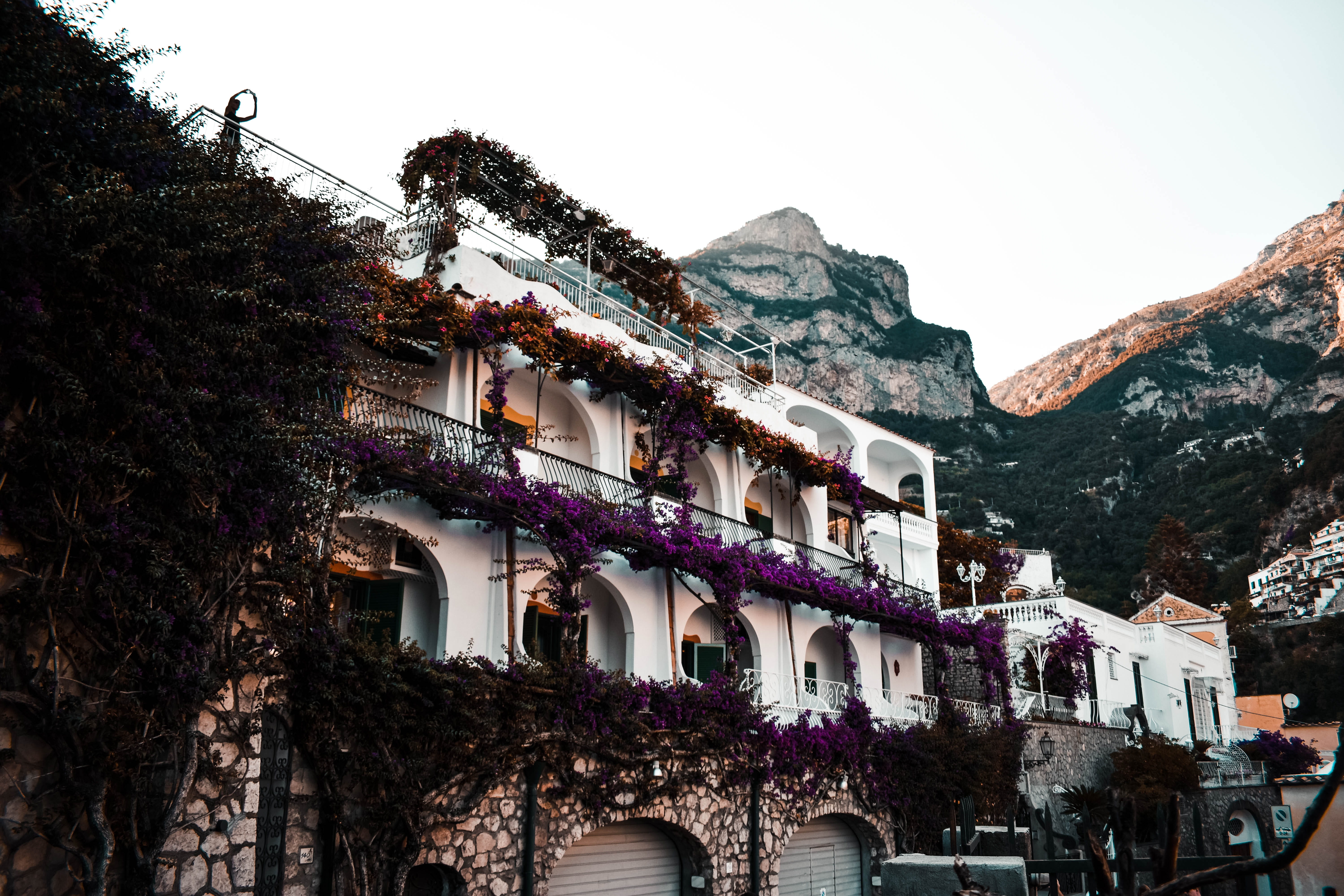 nature, tree, landscape, low angle view, built structure, architecture, city, house, town, flowers, positano, plant, mountain, italy, 5K, sky, building, HD Wallpaper