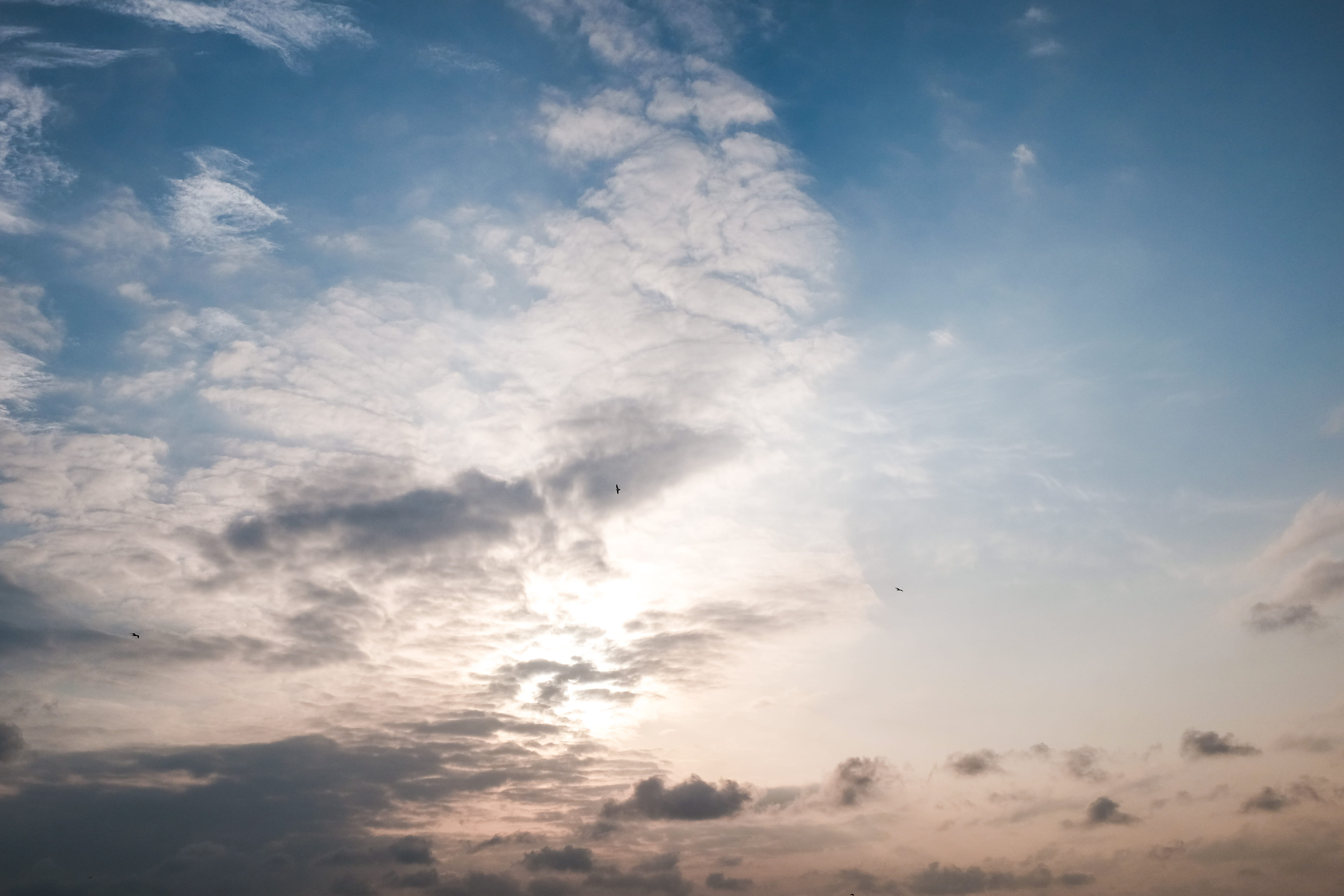 fuji, white color, non-urban scene, not, low angle view, backgrounds, x100, day, cloud - sky, no people, cloudscape, traveling, meteorology, idyllic, clouds, HD Wallpaper