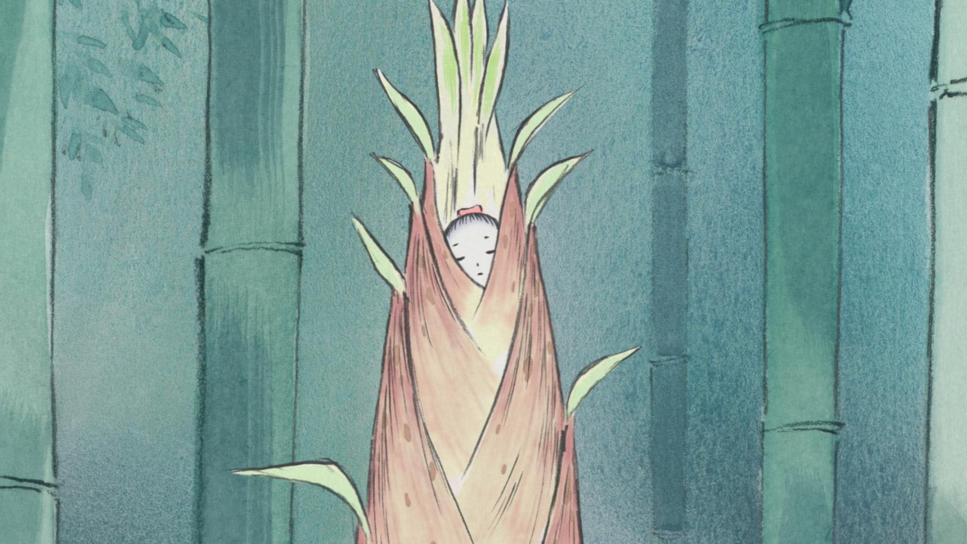 the tale of the princess kaguya, 1080P, HD Wallpaper