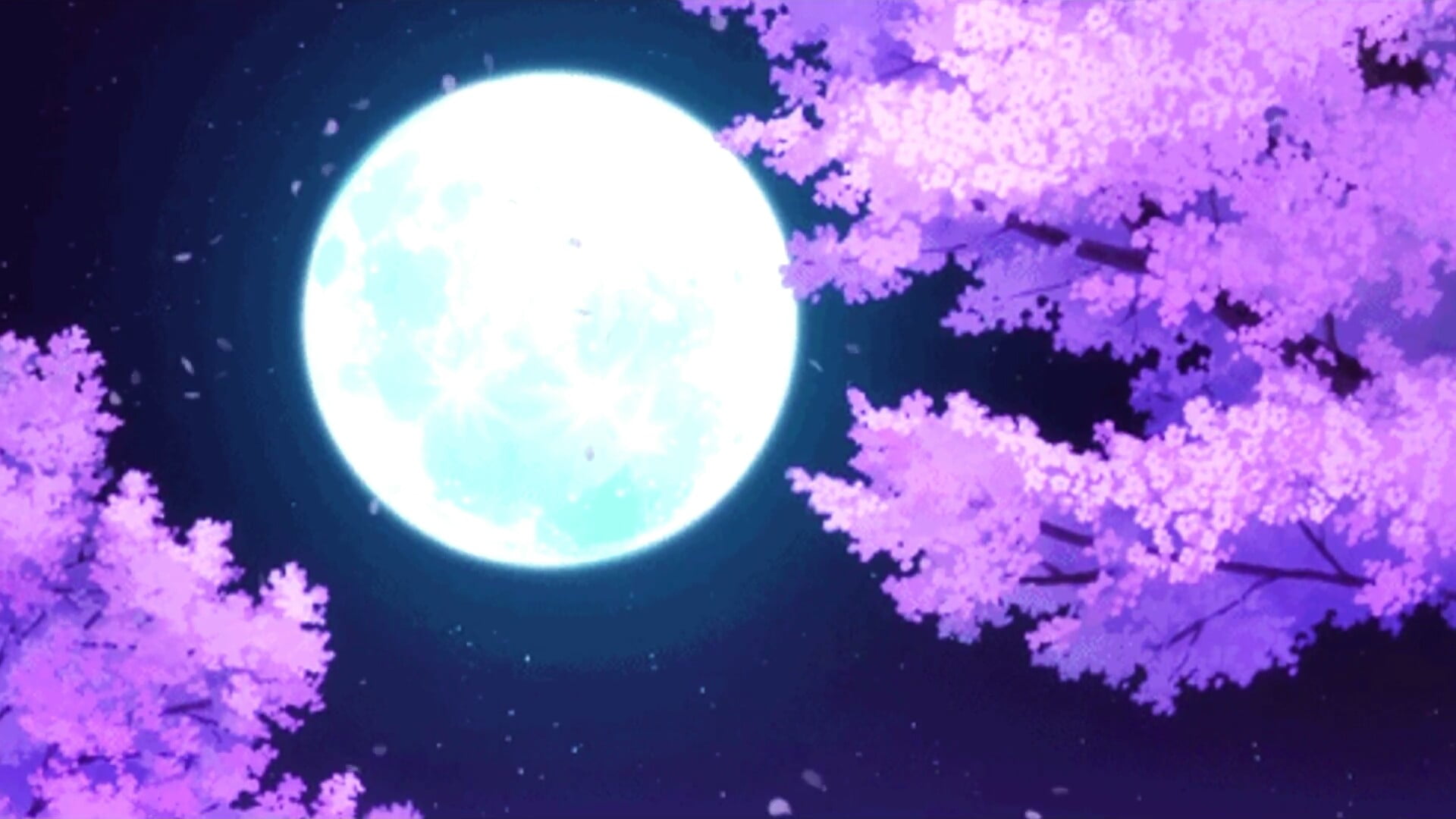 close-up, pink color, circle, no people, planetary moon, growth, night, full moon, geometric shape, flower, purple, shape, moon, astronomy, water, anime art, HD Wallpaper