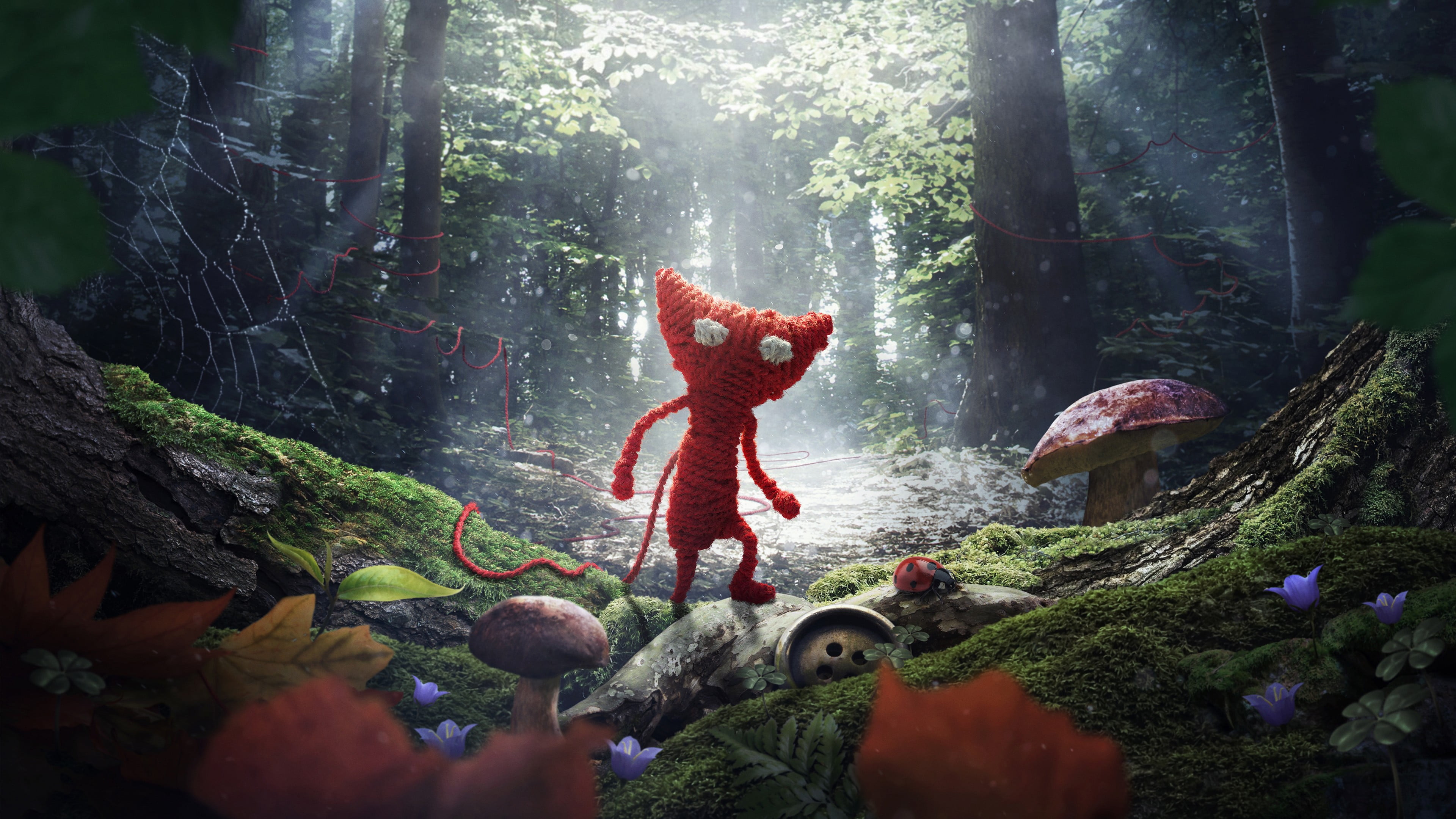 cat, real people, trunk, full length, representation, human arm, day, rock, woodland, red, rock - object, Unravel, tree, forest, sill, nature, solid, outdoors, HD Wallpaper