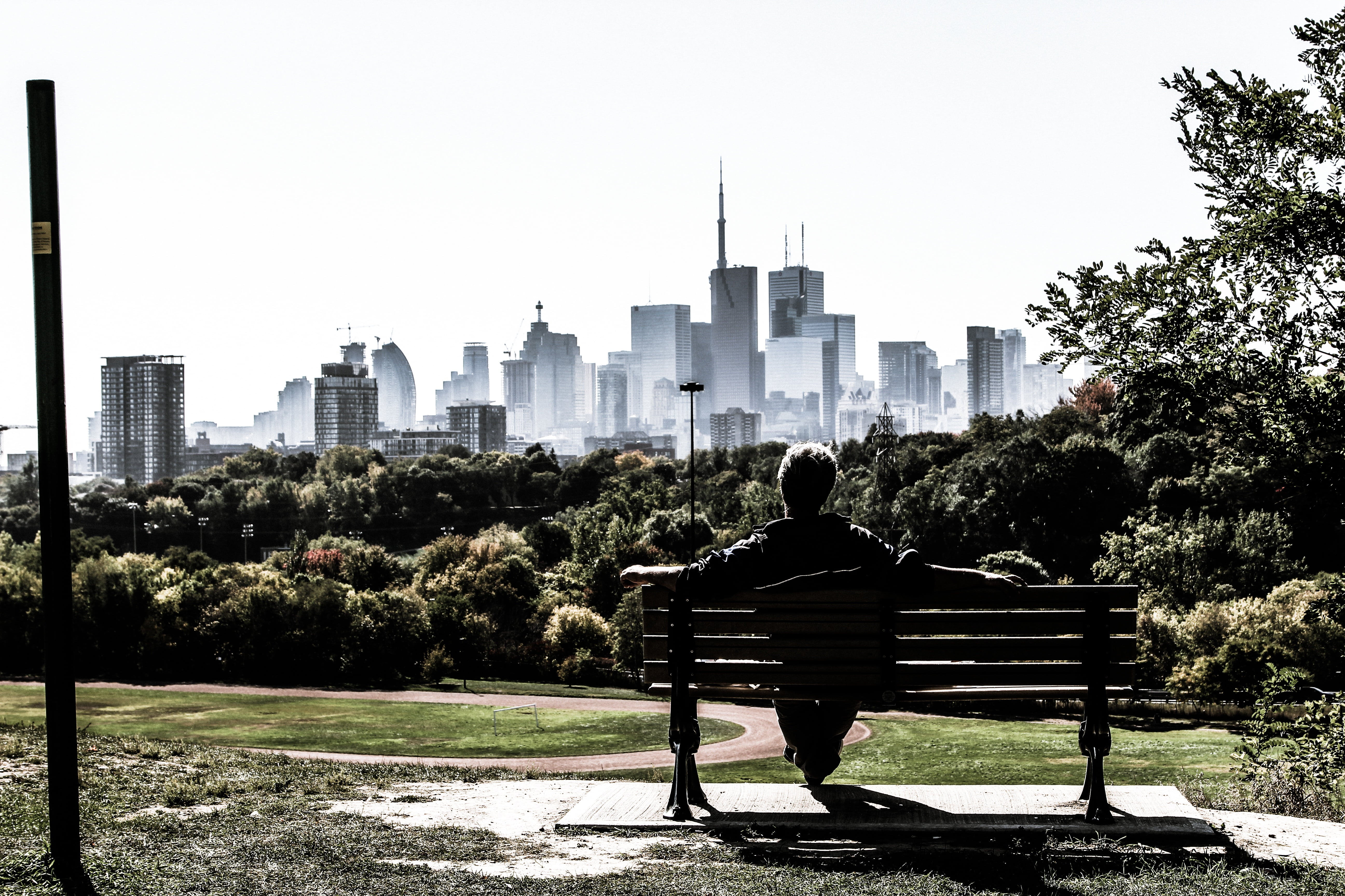 view, sitting, buildings, park, sky, bench, only men, seat, urban skyline, sunny, tall - high, skyline, daylight, tree, growth, plant, built structure, HD Wallpaper