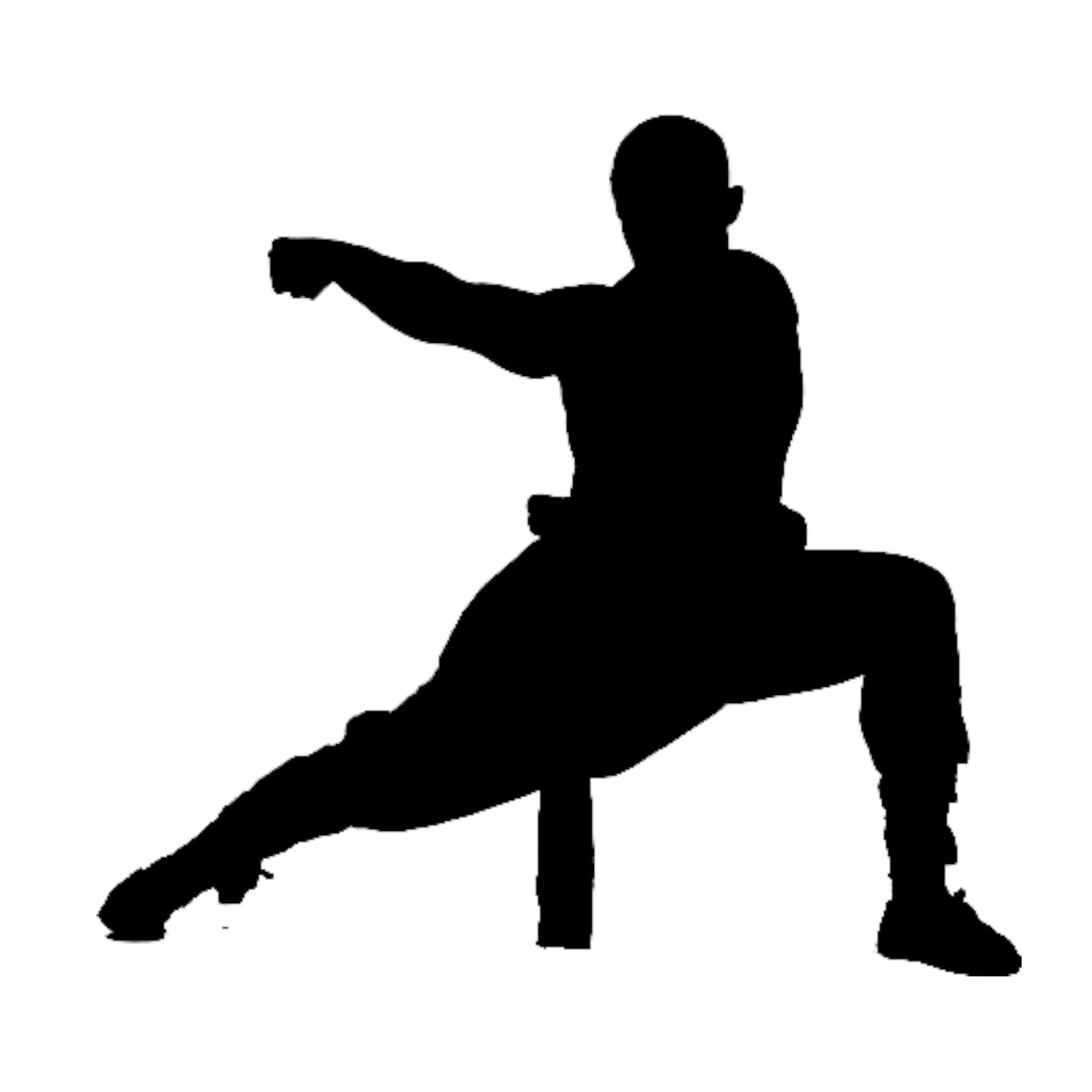 sign, real people, pack, culture, limb, communication, artist, indoors, dancing, human arm, front view, men, wushu, pose, man, kung fu, action, shaolin, Phone HD Wallpaper