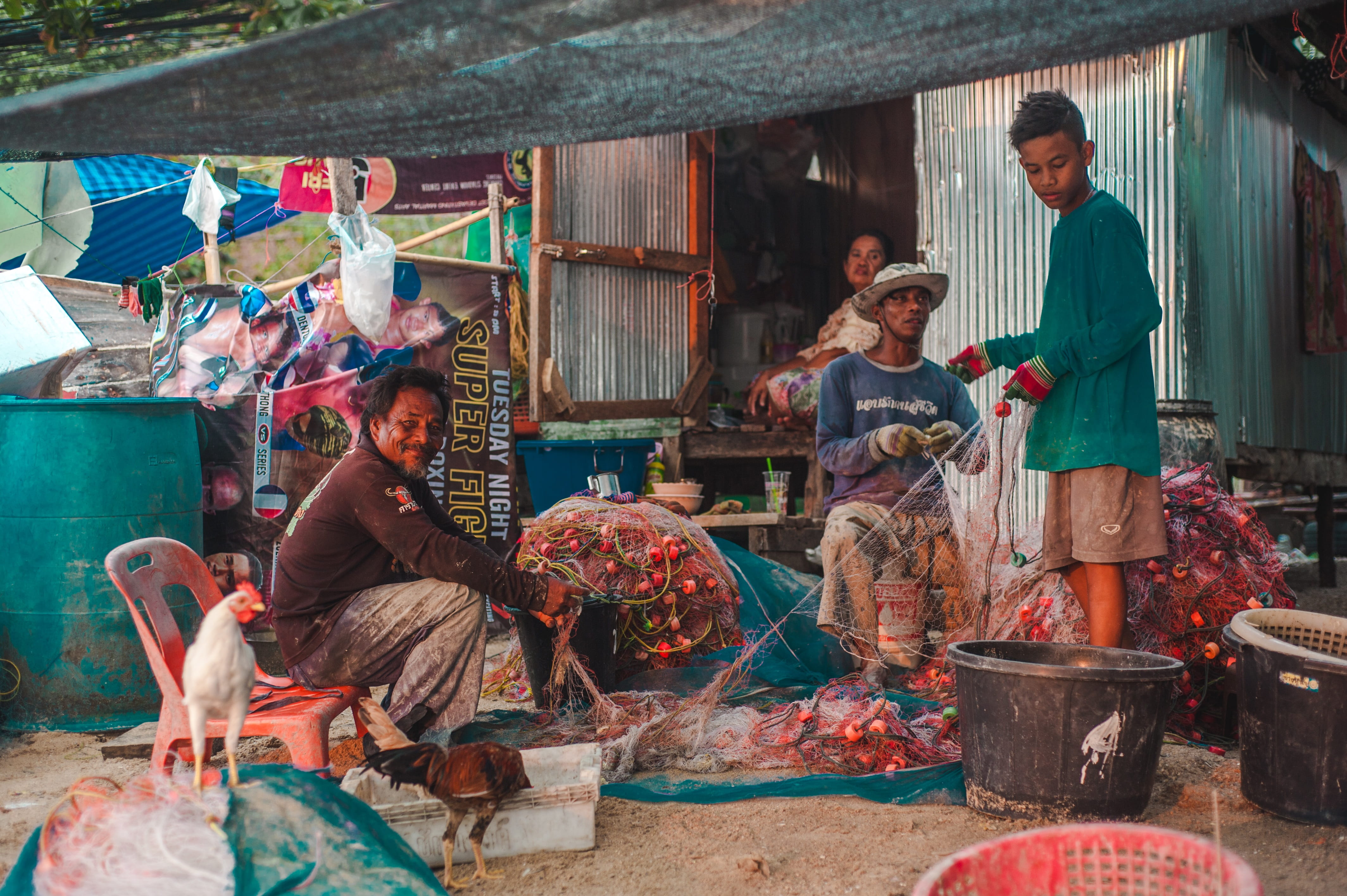 market stall, selling, women, sea, business, sand, 4K, beach, consumerism, for sale, man, nets, sitting, farm, chicken, small business, fisherman, production, HD Wallpaper