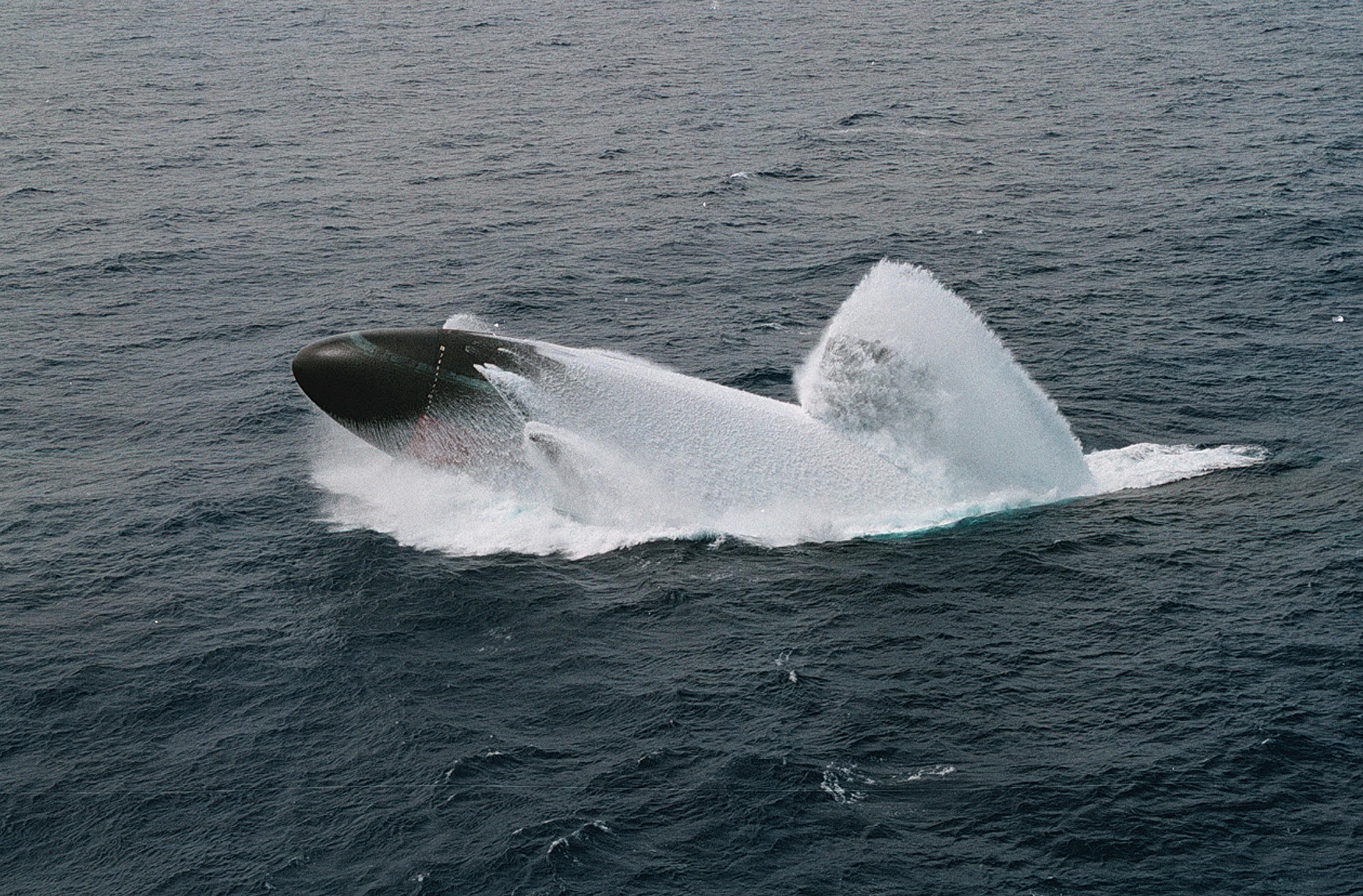 animals in the wild, vehicle, one animal, aquatic mammal, nuclear submarines, nature, whale, military, animal wildlife, animal themes, no people, swimming, HD Wallpaper