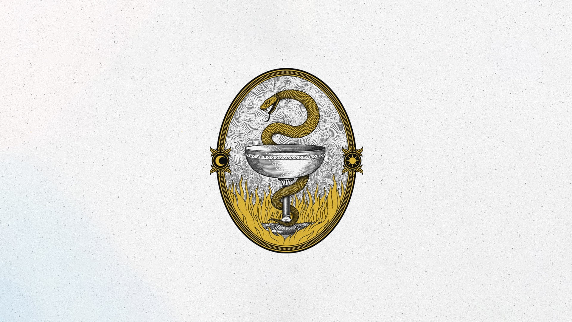 1080P, serpent, minimalism, cup, HD Wallpaper
