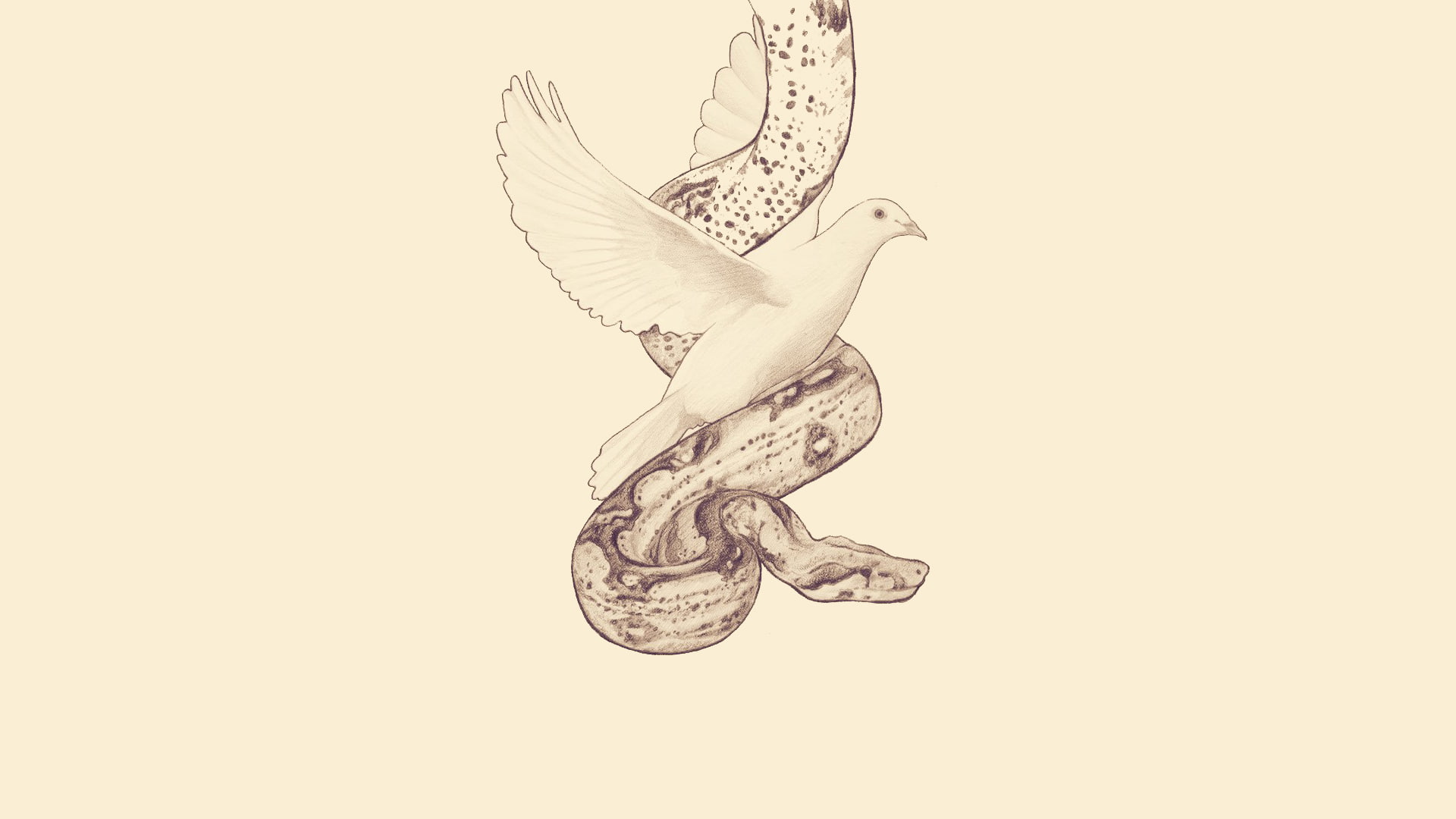 1080P, mythology, dove, serpent, HD Wallpaper