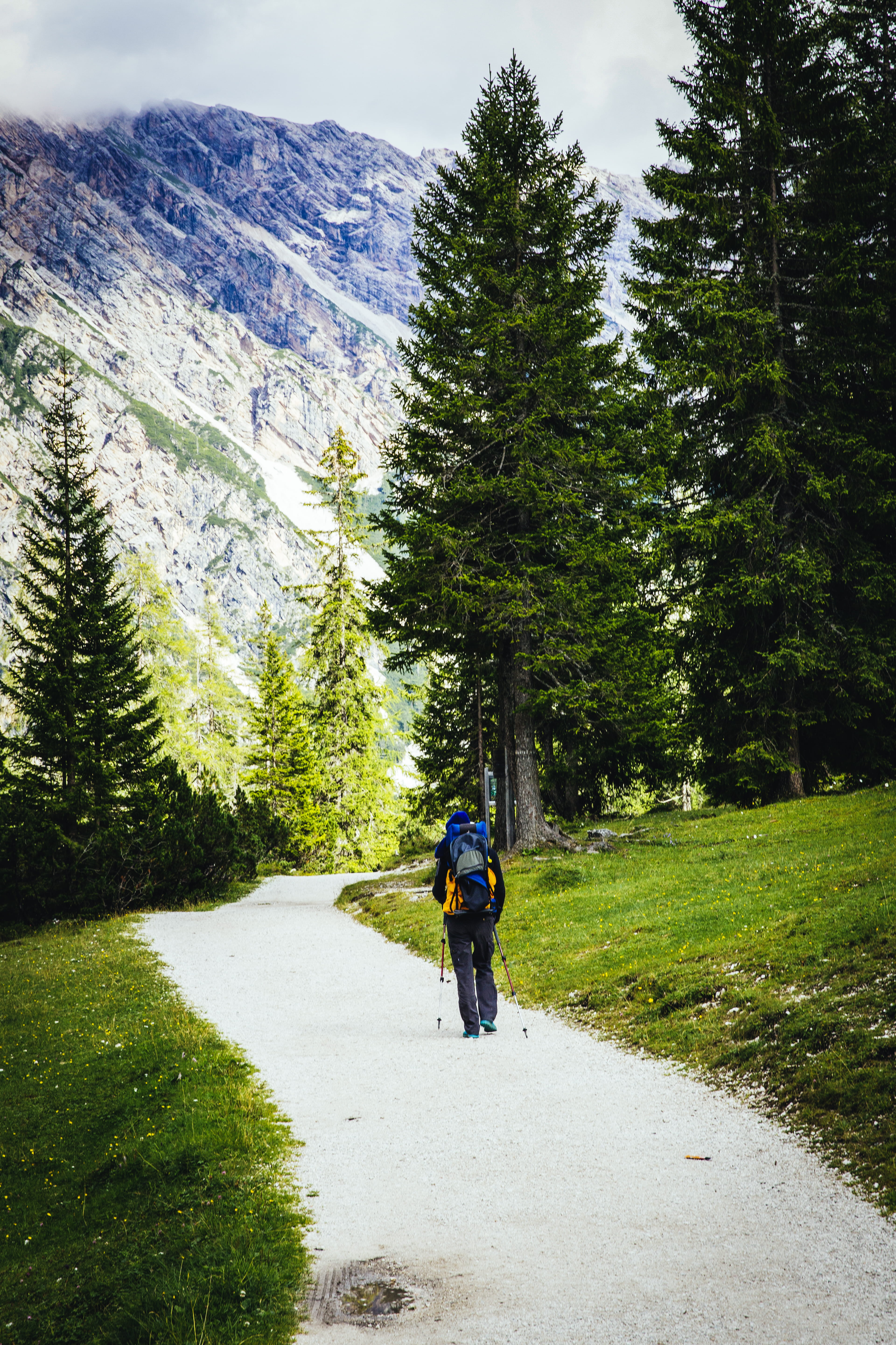 adventure, one person, landscape, hill, rock, rear view, growth, wood, plant, outdoors, idyllic, 5K, nature, day, outdoor, forest, road, full length, natural, Phone HD Wallpaper