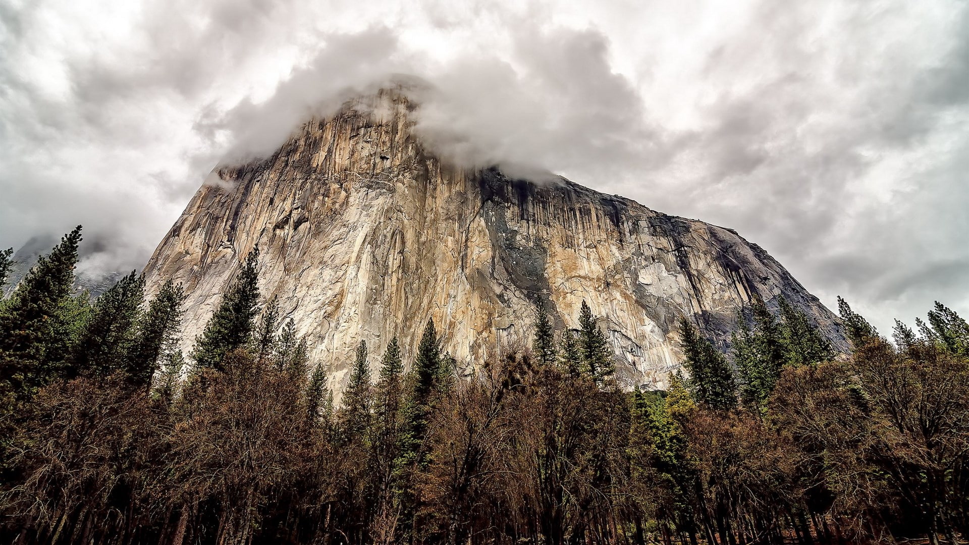 hd images nature pc  1920x1080, 1080P, HD Wallpaper