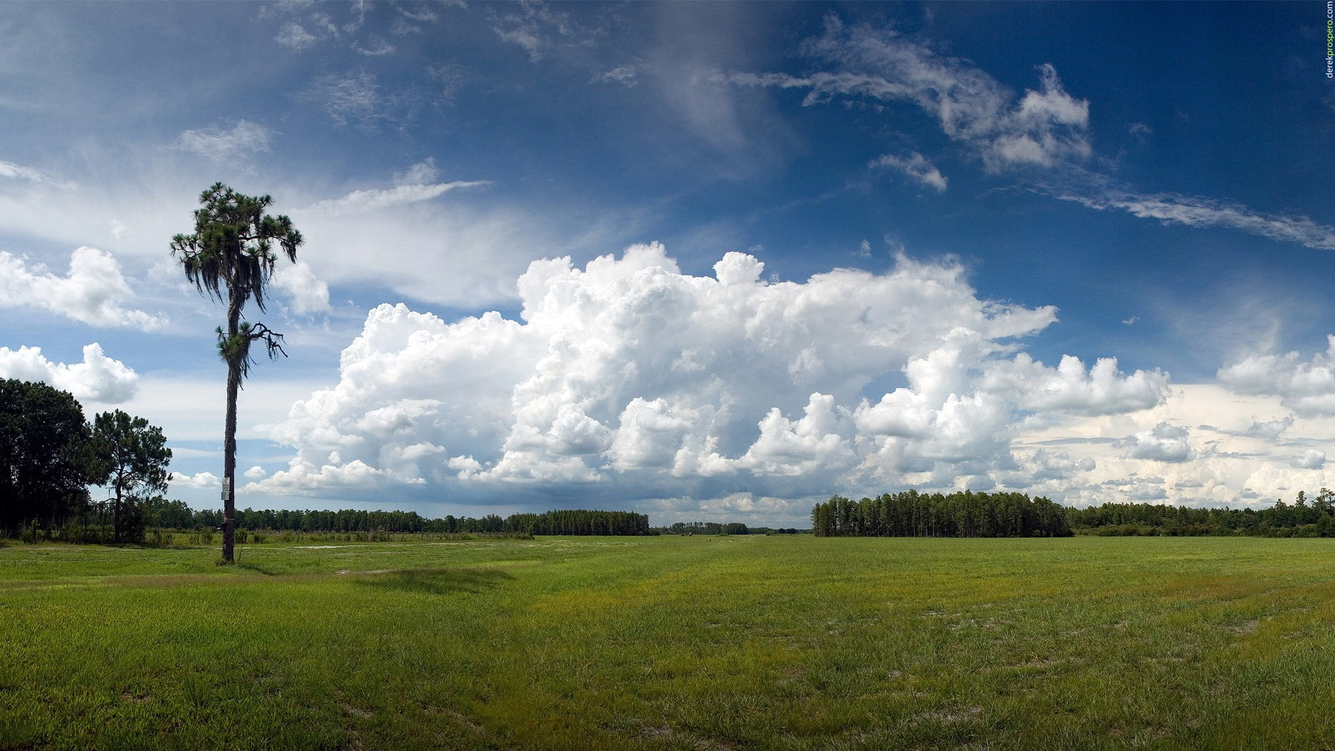 1080P, hd image of nature for pc 1920x1080, HD Wallpaper