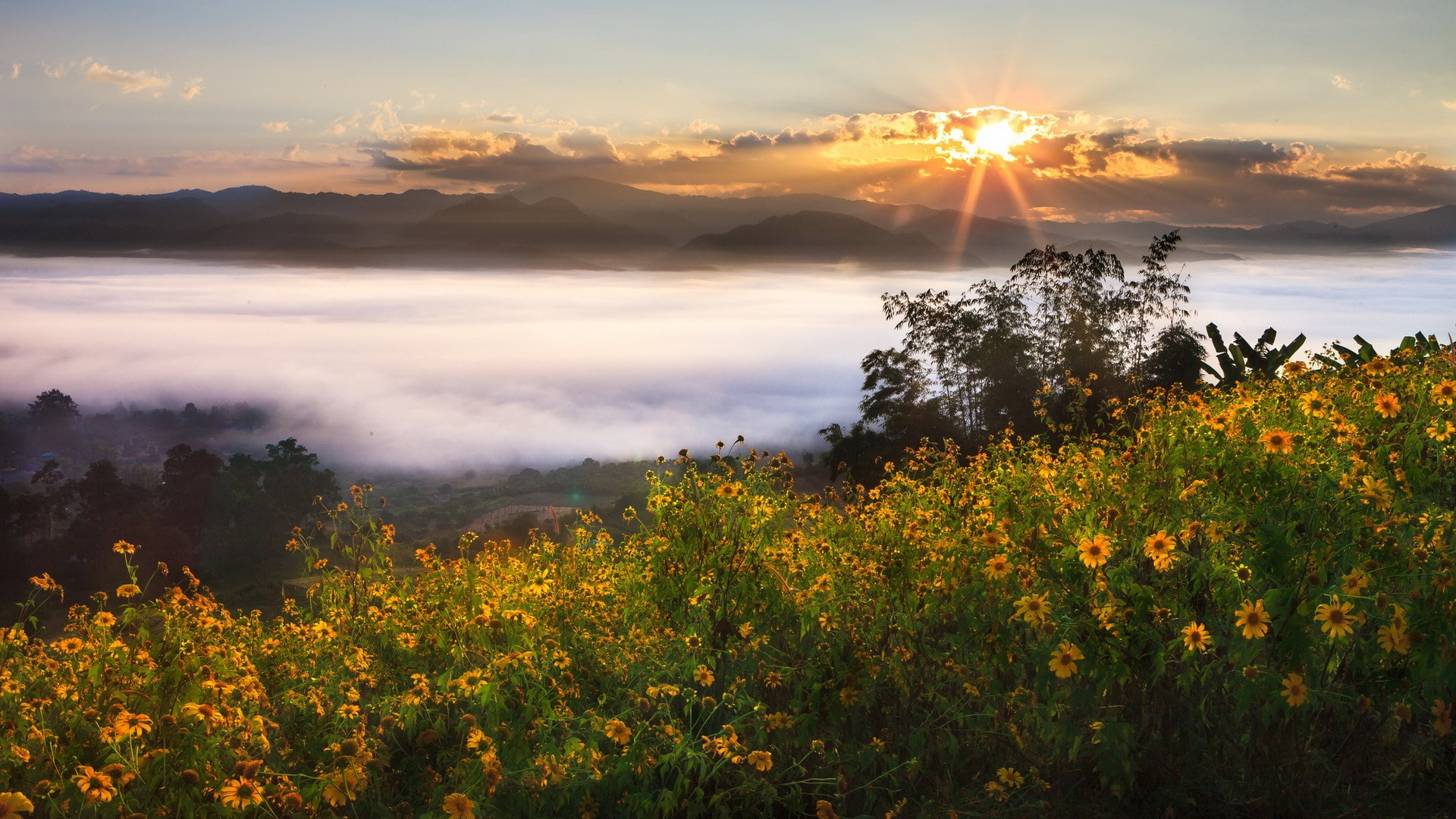 hd images nature pc  1920x1080, 1080P, HD Wallpaper