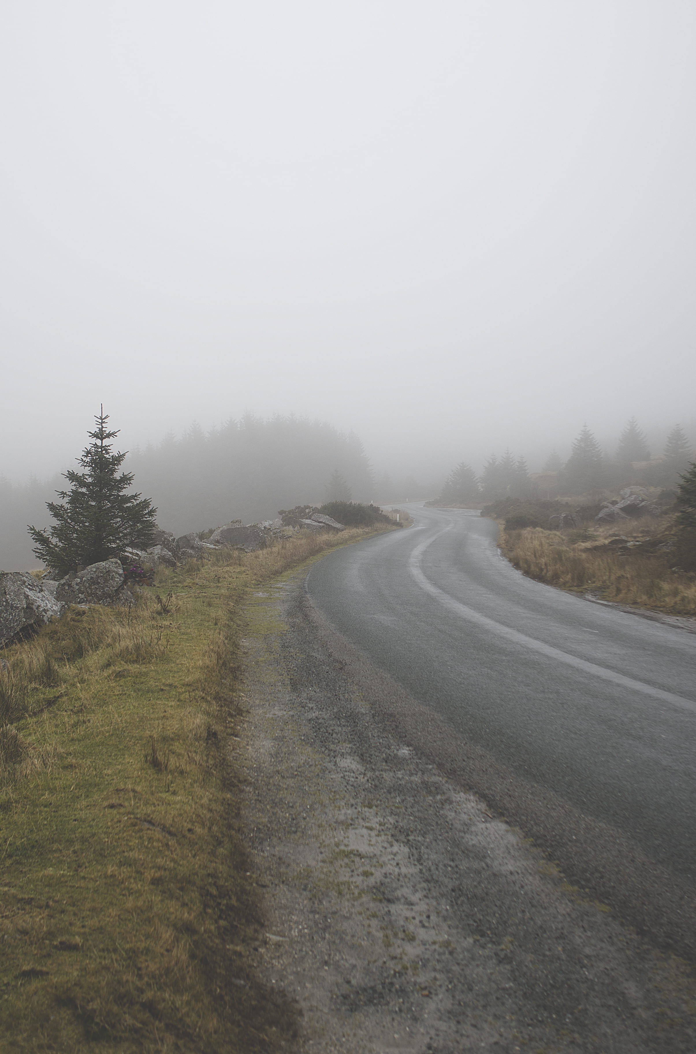 trees, outdoors, highway, mountaion, road, beauty in nature, tranquil scene, sky, no people, foggy, fog, transportation, non-urban scene, 2K, countryside, Phone HD Wallpaper