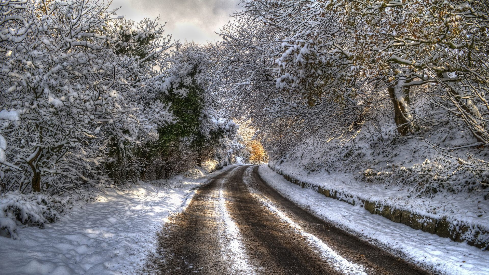 outdoors, tree, snowing, cold temperature, naturaleza, no people, covering, arboles, nieve, tranquil scene, 1080P, the way forward, road, land, invierno, HD Wallpaper