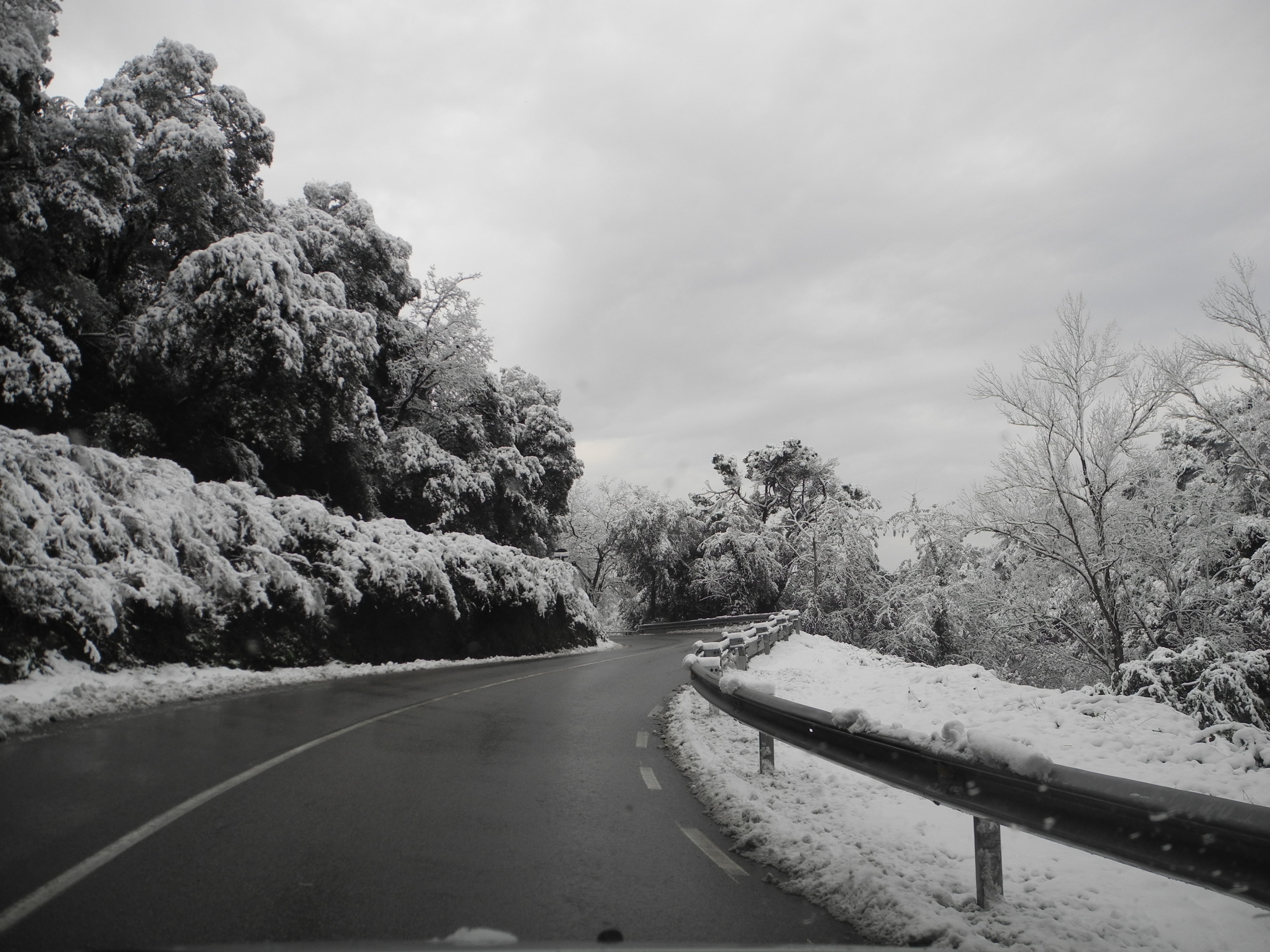 nevada, nieve, 2K, arboles, carretera, HD Wallpaper