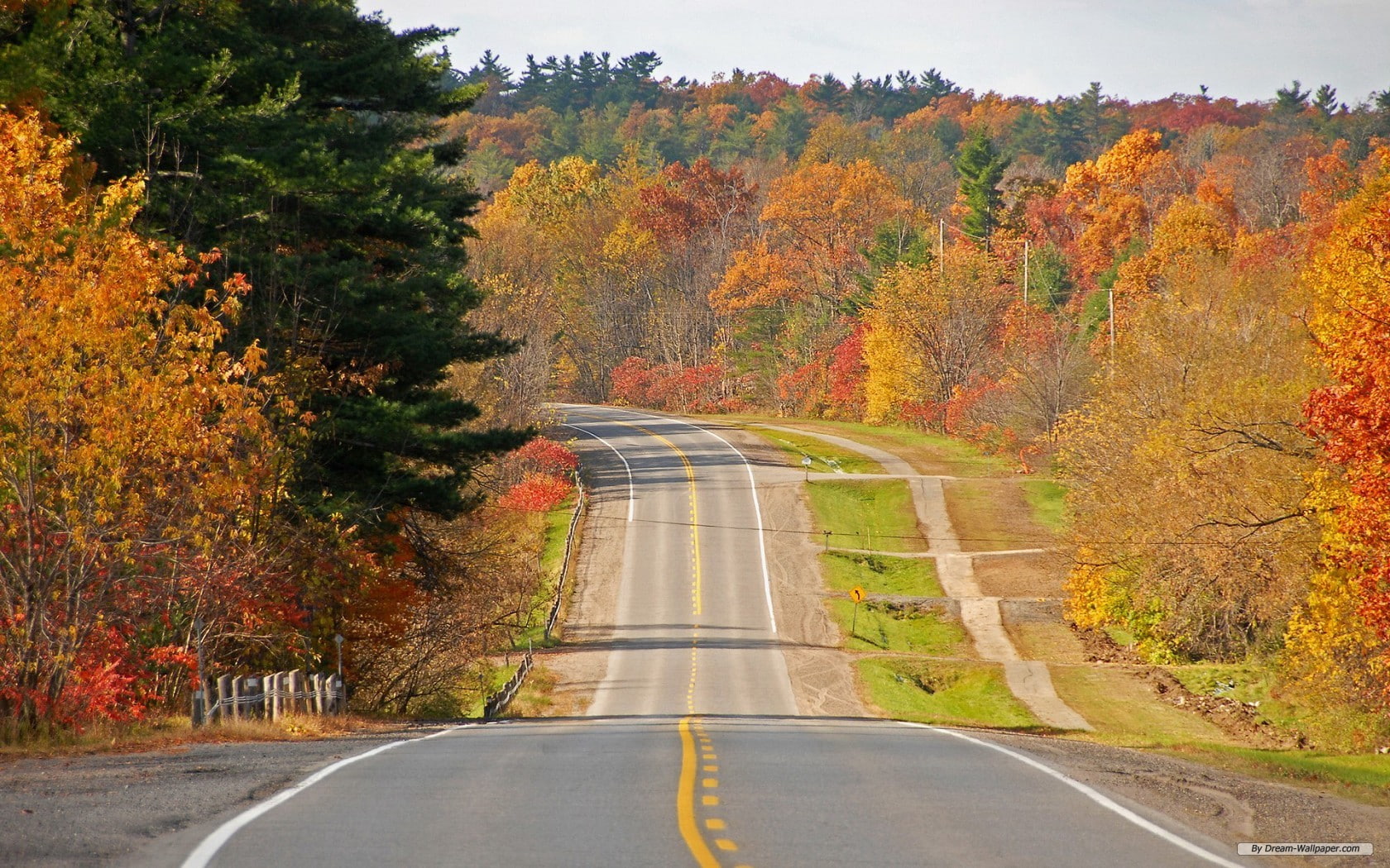720P, asfalto, carretera, arboles, HD Wallpaper