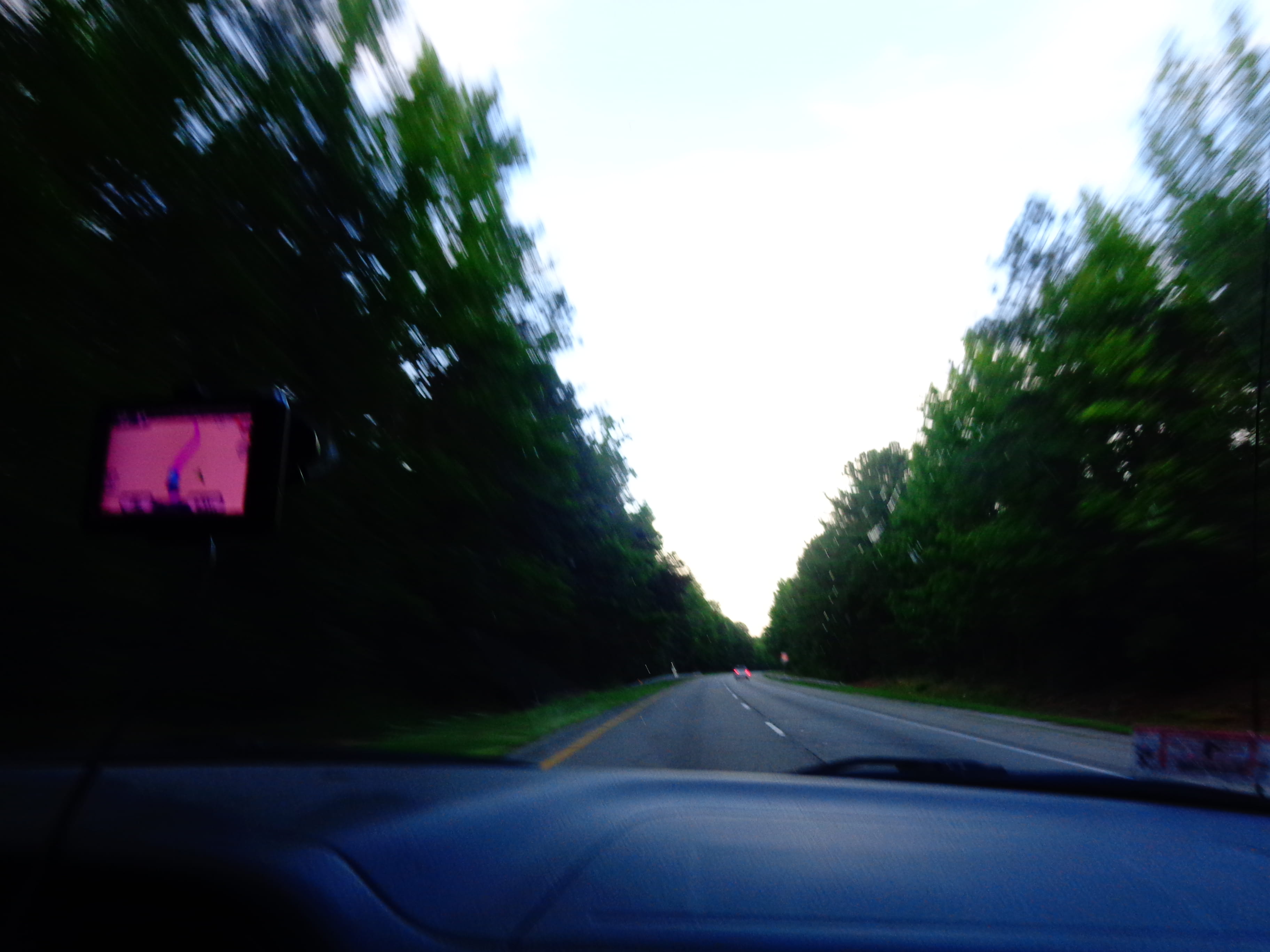 carretera, road, plant, viaje, direction, nature, windshield, car interior, transportation, mode of transportation, tree, glass - material, land vehicle, HD Wallpaper