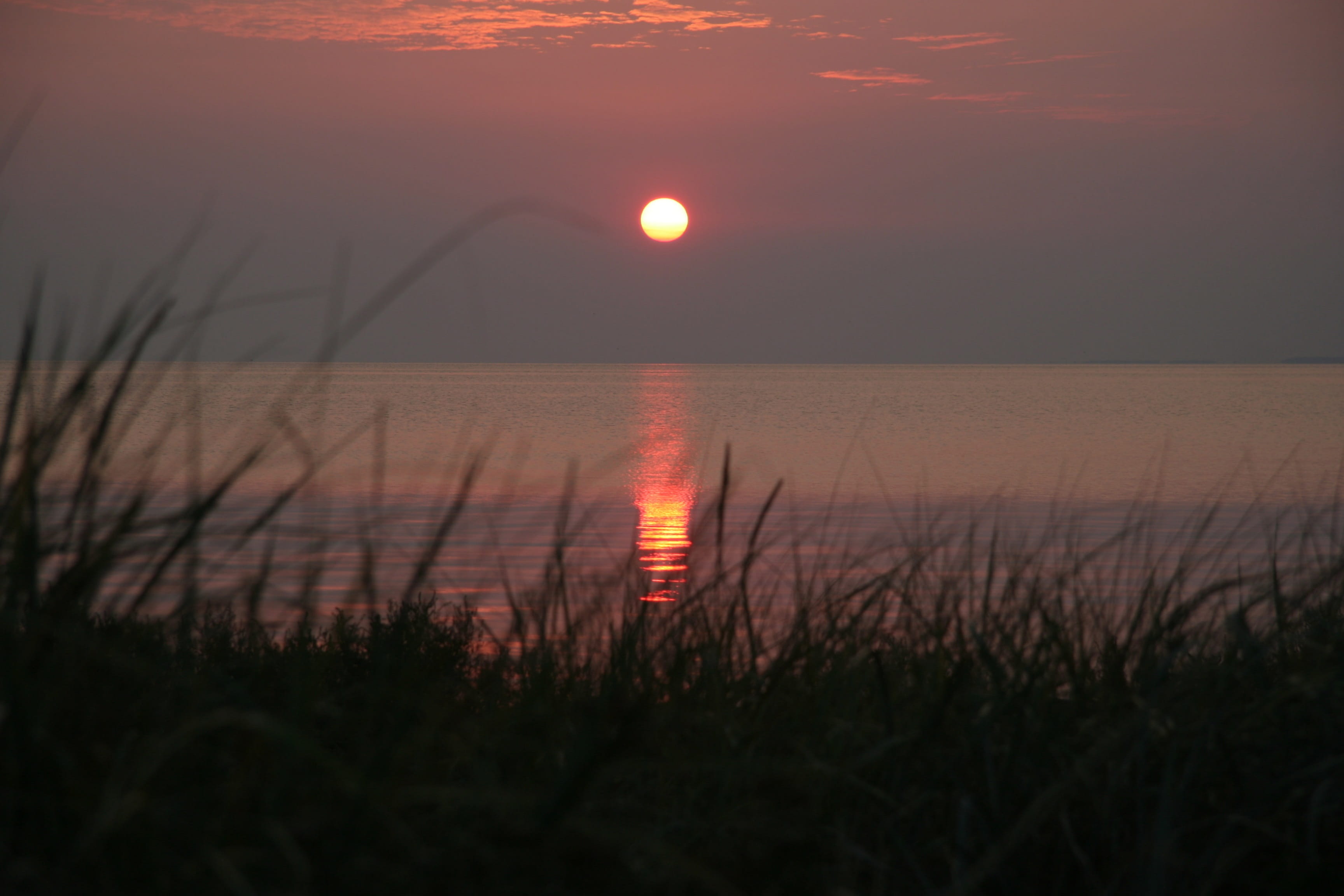 abend, scenics, landscape, environment, outdoors, sea, Ufer, tranquil scene, coast, idyllic, grass, morning, evening, tranquility, sonnenuntergang, plant, HD Wallpaper