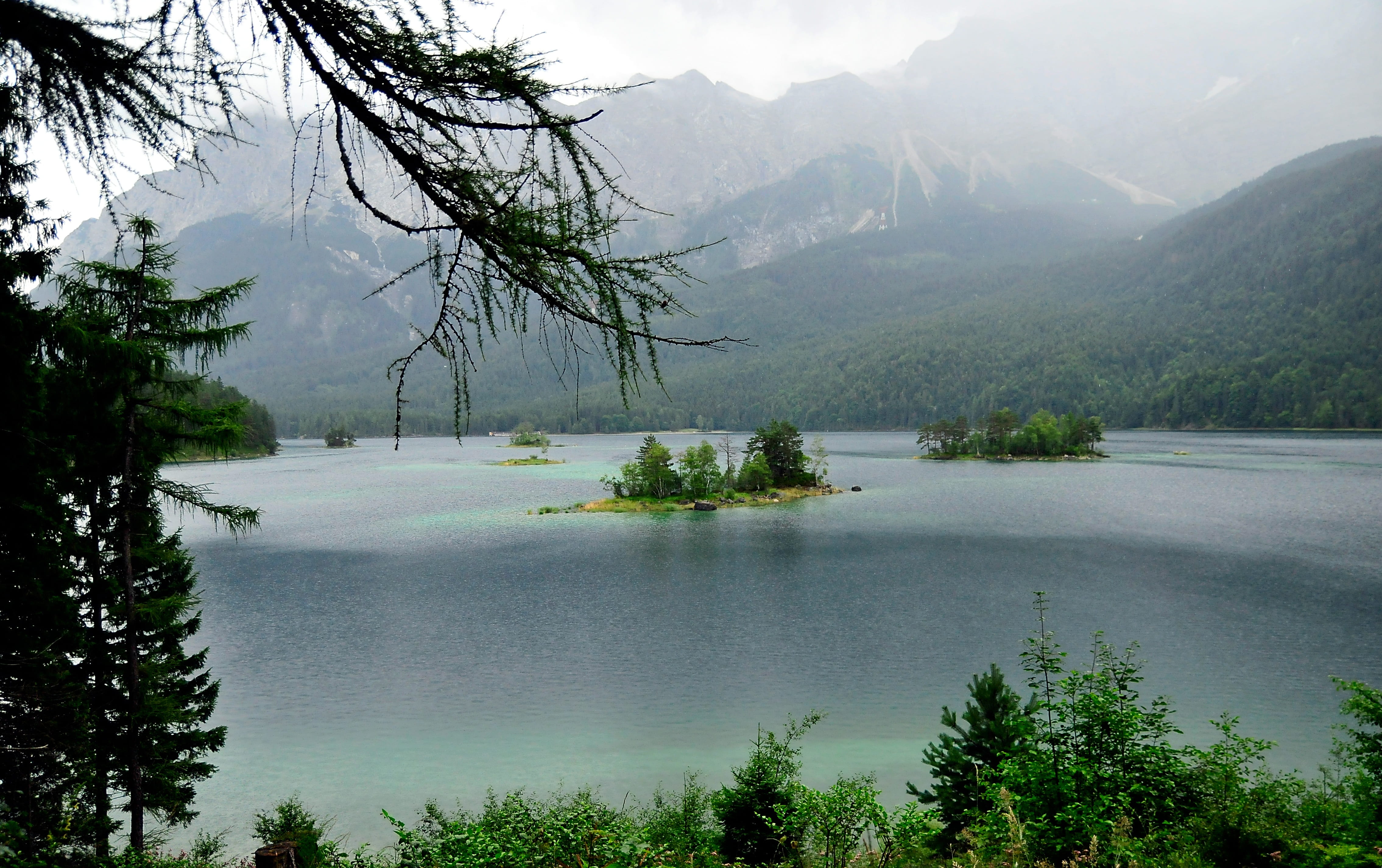 nature, tranquil scene, forest, eibsee, tranquility, zugspitz country, bavaria, coniferous tree, growth, tree, day, mountain, pine tree, plant, fog, scenics - nature, HD Wallpaper