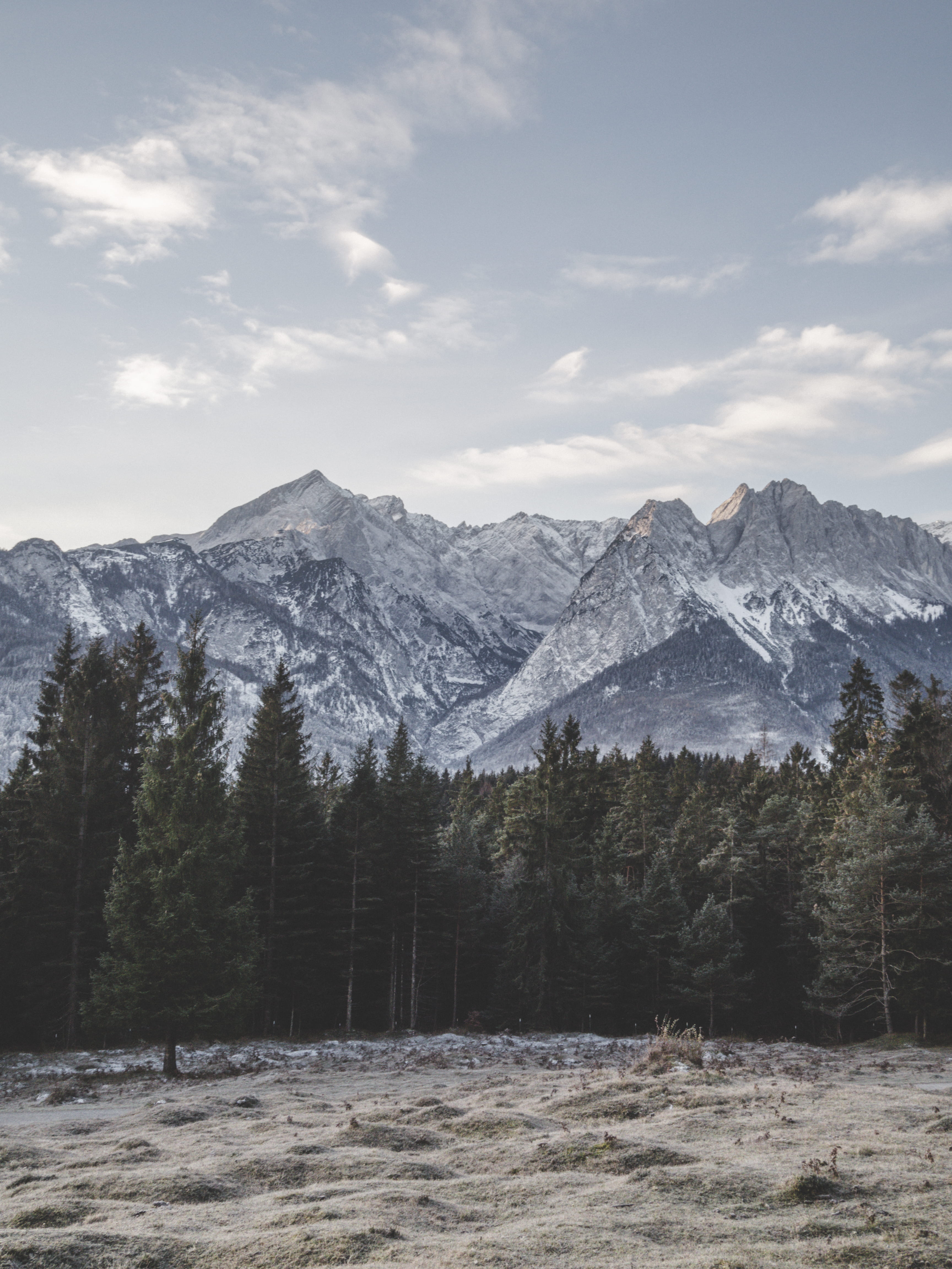 scenics - nature, snow, no people, cold temperature, tree, abstract, mountain range, tranquility, pine, winter, fir, germany, non-urban scene, mountain peak, Phone HD Wallpaper