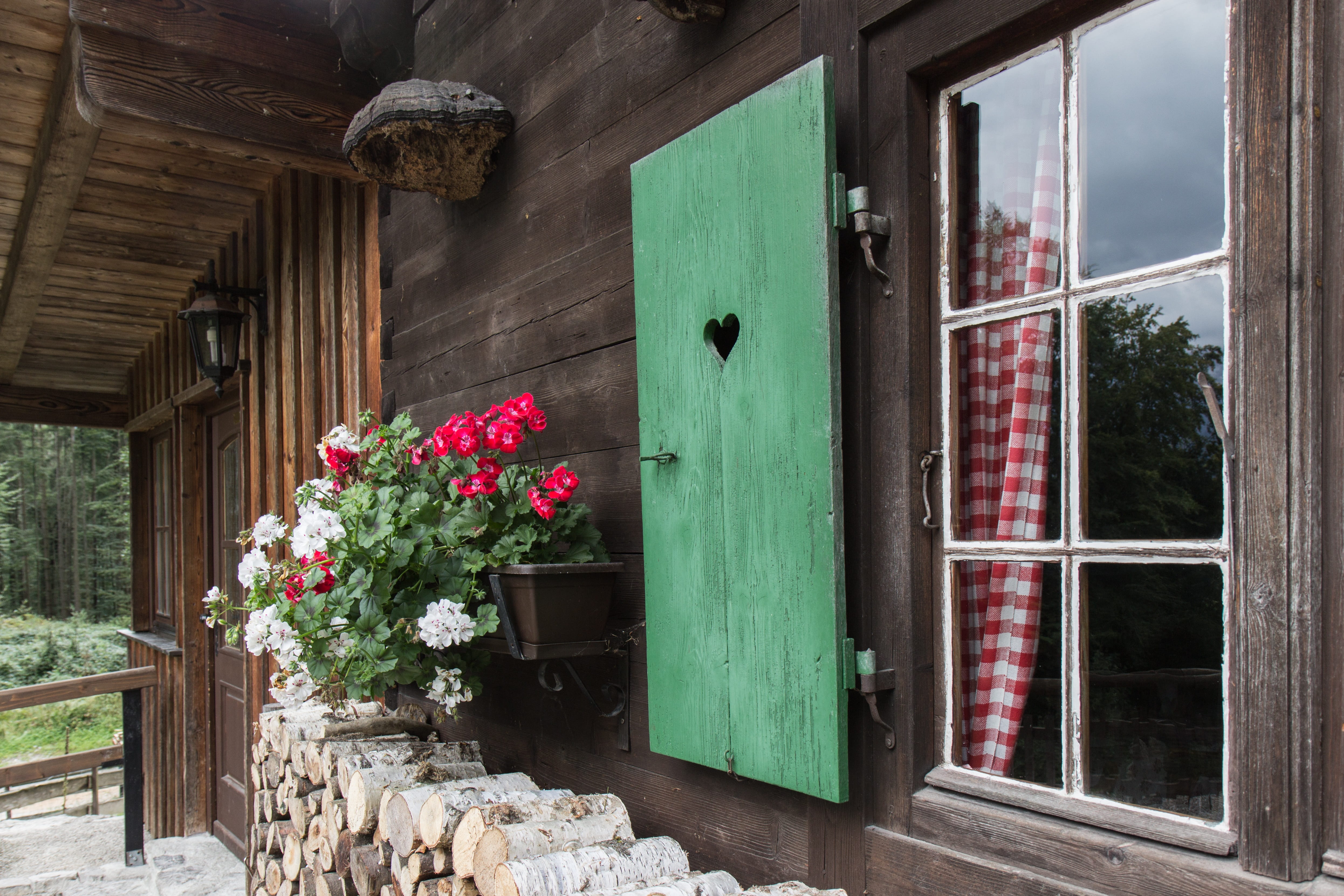 flowers, outdoors, mountain hut, snack, flowering plant, no people, house, built structure, window box, wooden windows, eat, potted plant, nature, alpine, HD Wallpaper