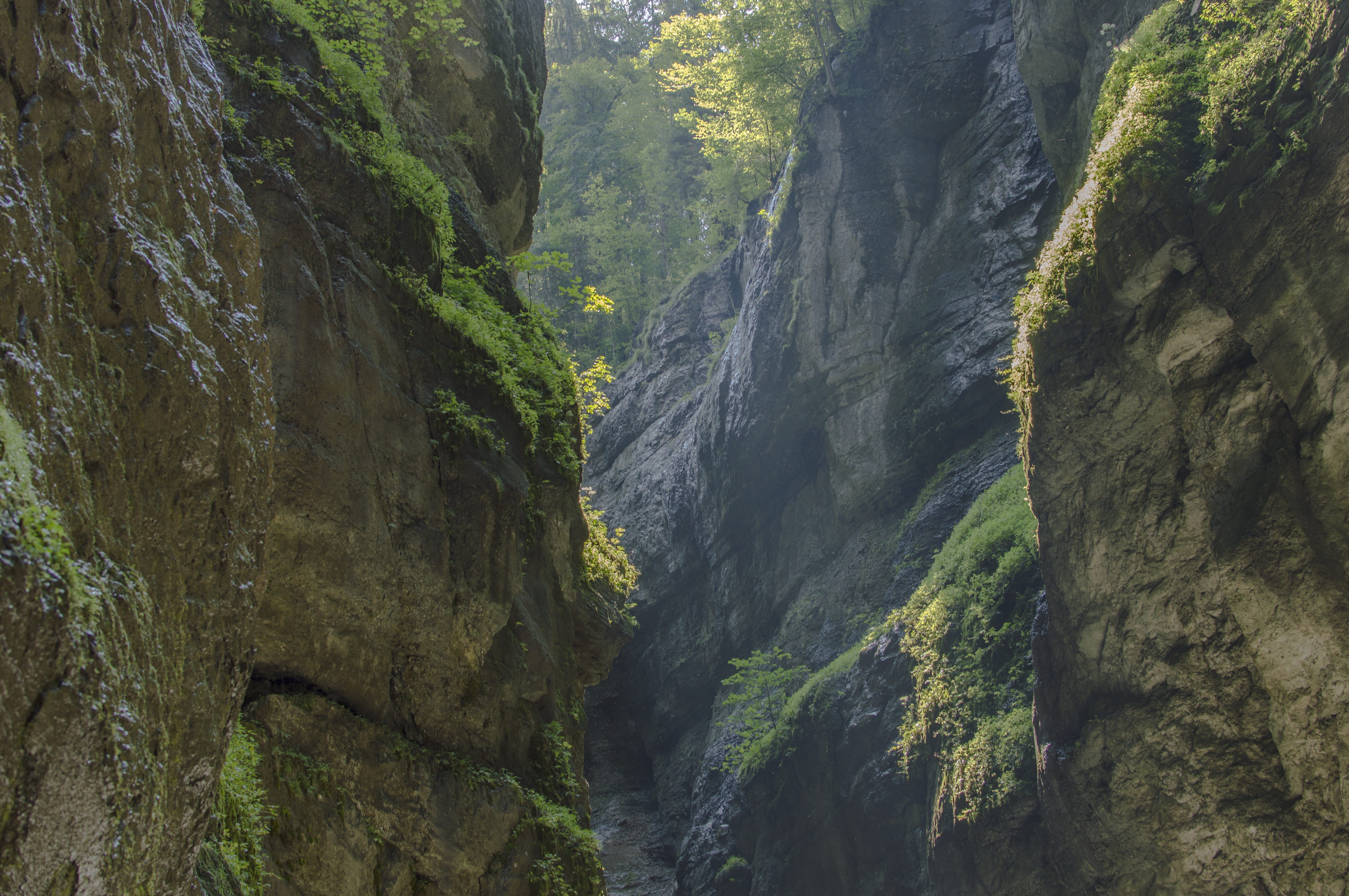 scenics - nature, sunlight, landscape, plant, rock formation, rock - object, sunbeam, höllentalklamm, nature, waterfall, formation, tranquil scene, partnachklamm, HD Wallpaper