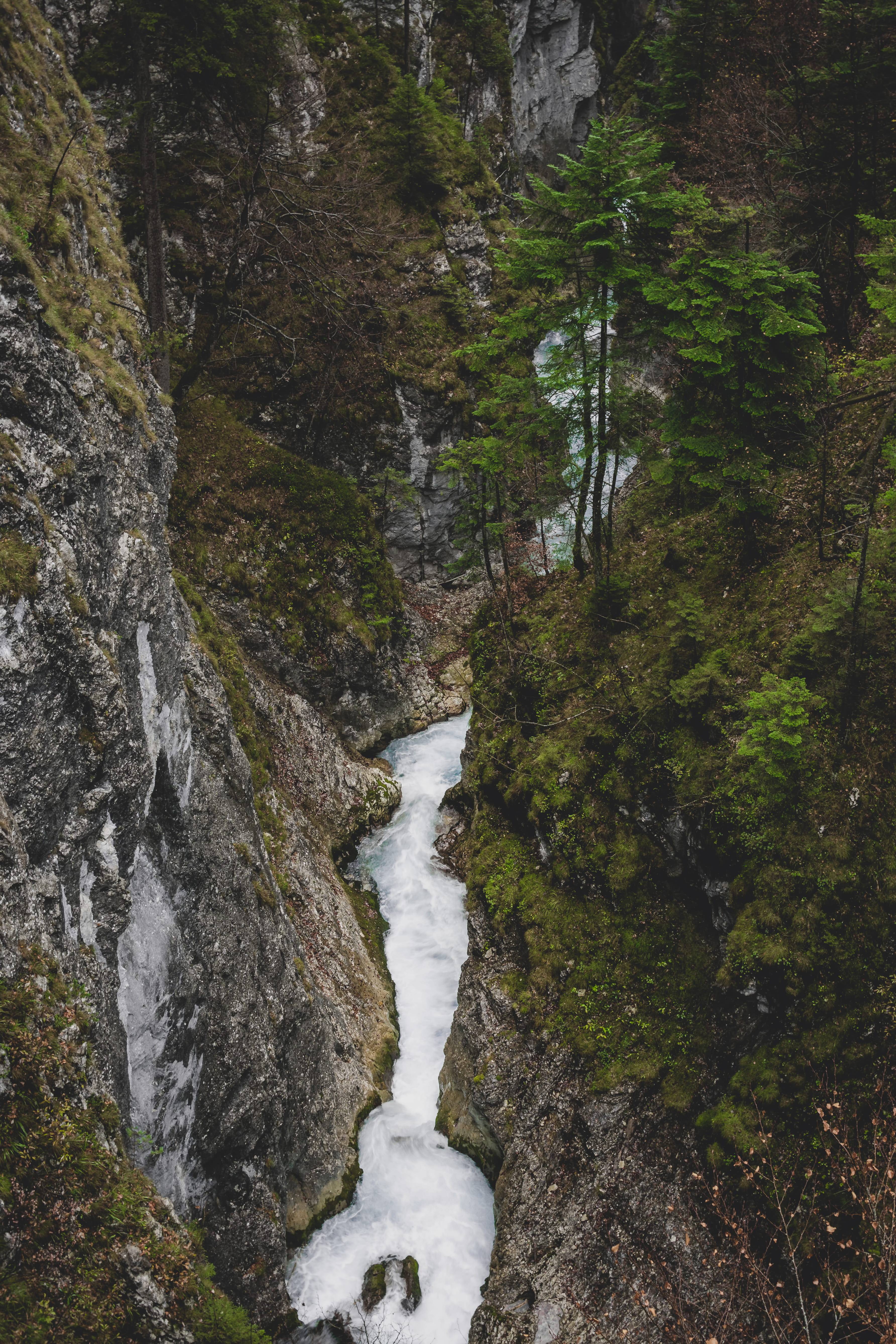 plant, vegetation, solid, land, garmisch-partenkirchen, scenics - nature, gravel, rock, rainforest, grey, photography, tree, germany, water, non-urban scene, Phone HD Wallpaper