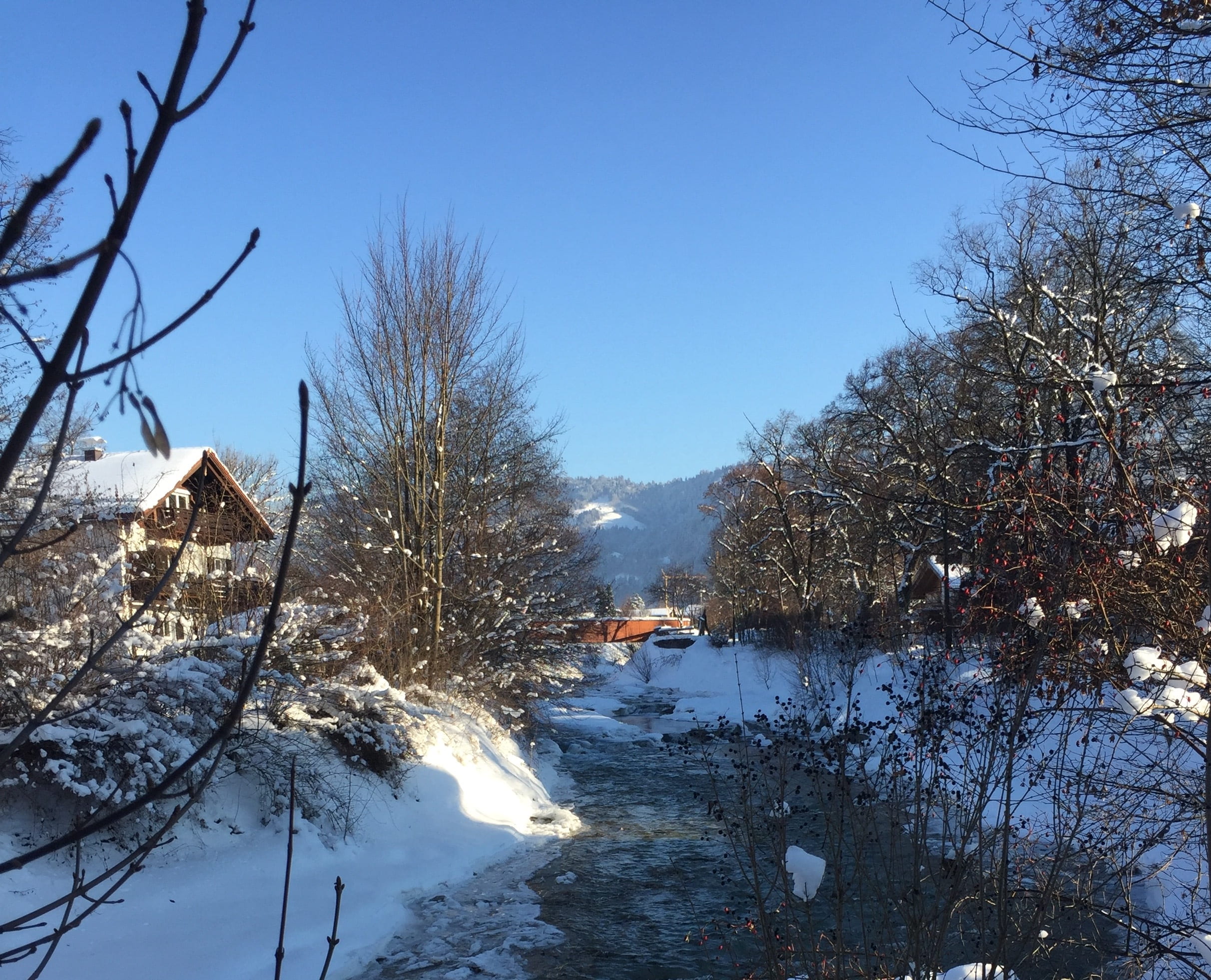 day, 1080P, scenics - nature, plant, outdoors, branch, water, snow, cold temperature, tree, bare tree, snowcapped mountain, sky, clear sky, no people, HD Wallpaper
