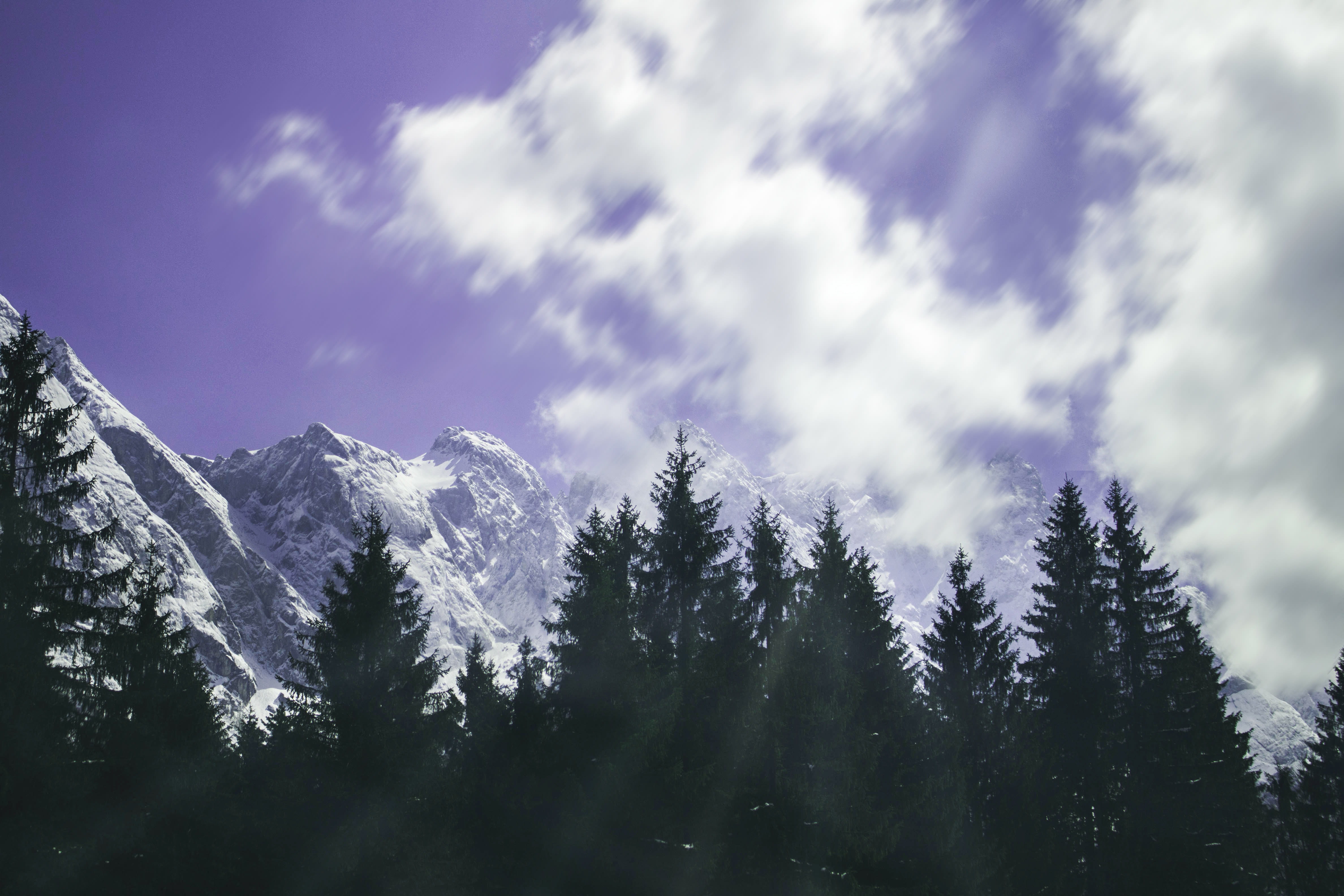 clouds, pine tree, tranquility, forest, germany, pine woodland, beauty in nature, cloud - sky, sky, coniferous tree, outdoors, trees, mountain range, german alps, HD Wallpaper