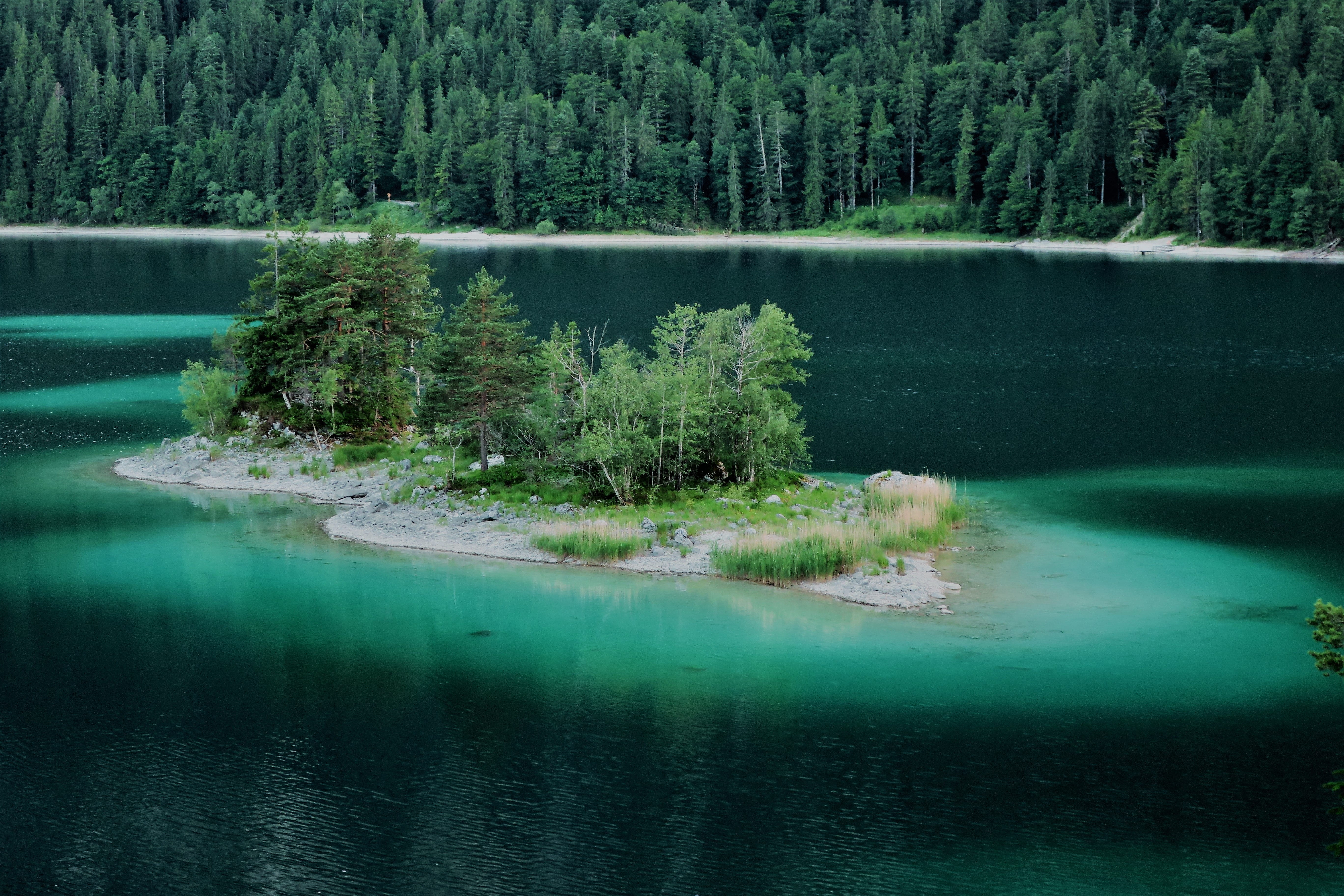 green Color, idyllic, Island, grainau, near, Eibsee, pine tree, lake, turquoise colored, wilderness Area, tree, abendstimmung, tranquil Scene, canada, woodland, HD Wallpaper