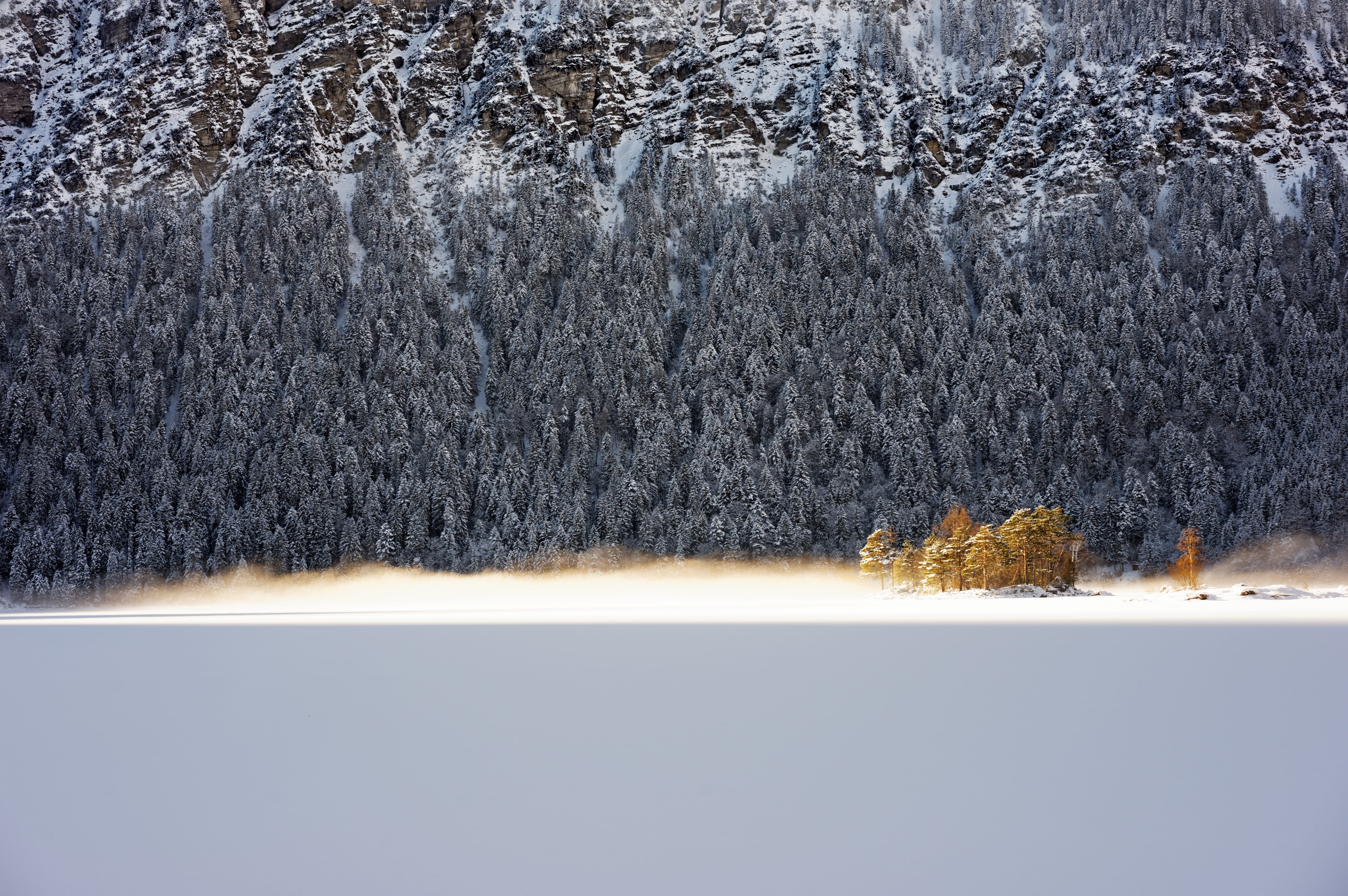 cold, zugspitze, snow, trees, pine tree, beach, tree, grey, germany, outdoors, mist, sunrise, beauty in nature, scenics - nature, environment, cold temperature, HD Wallpaper